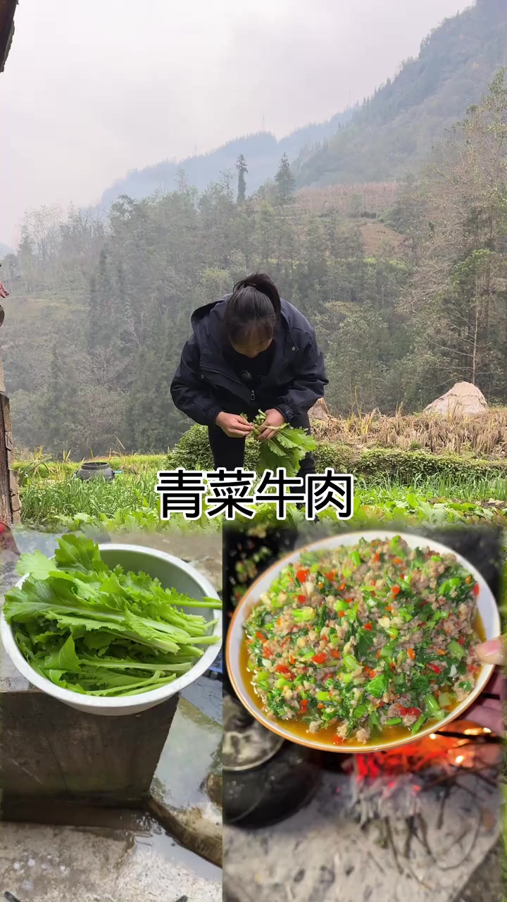 原来青菜牛肉也可以这么下饭