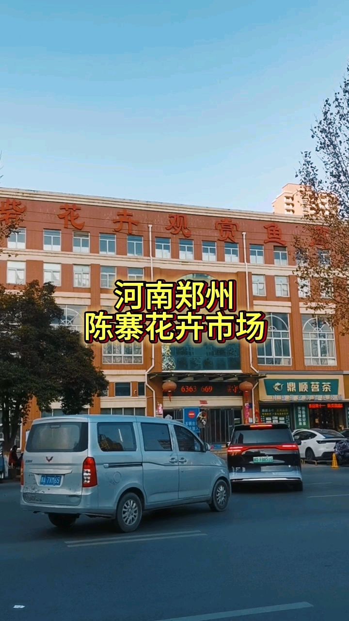 河南省郑州市：陈寨花卉市场！