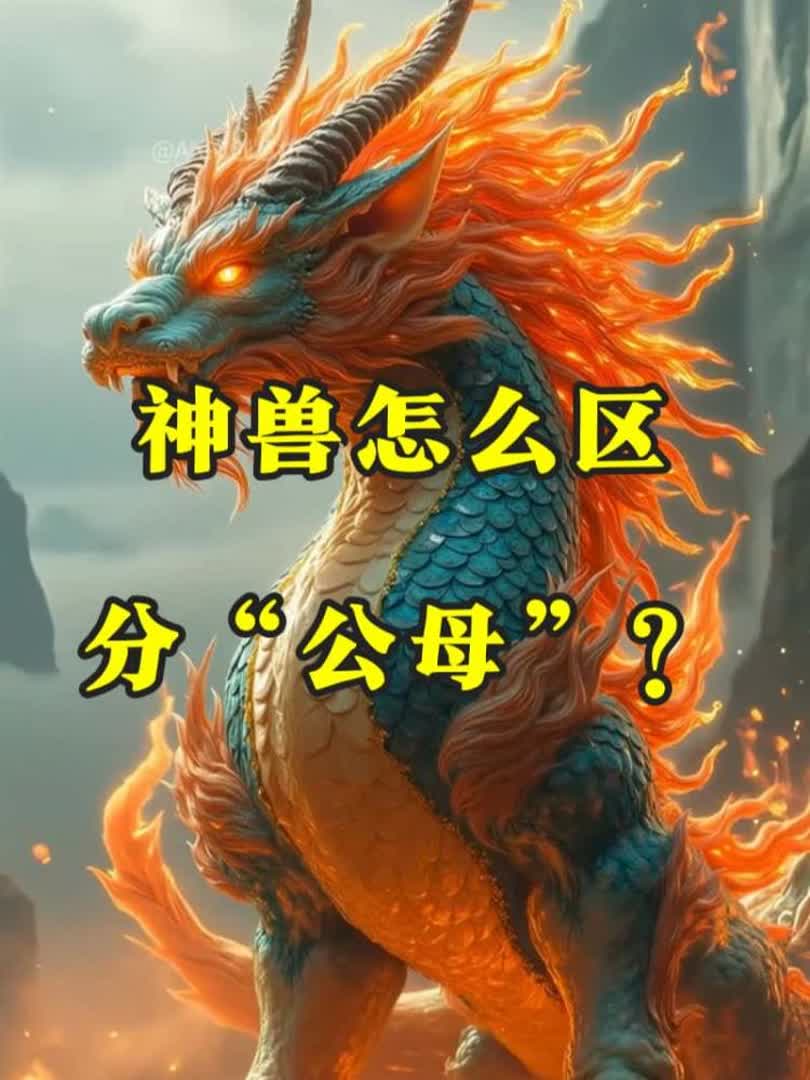 神兽怎么区分“公母”？