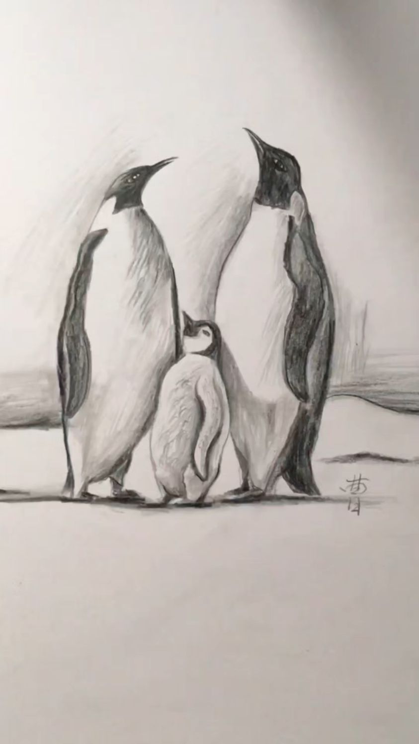 零基础画简笔小企鹅