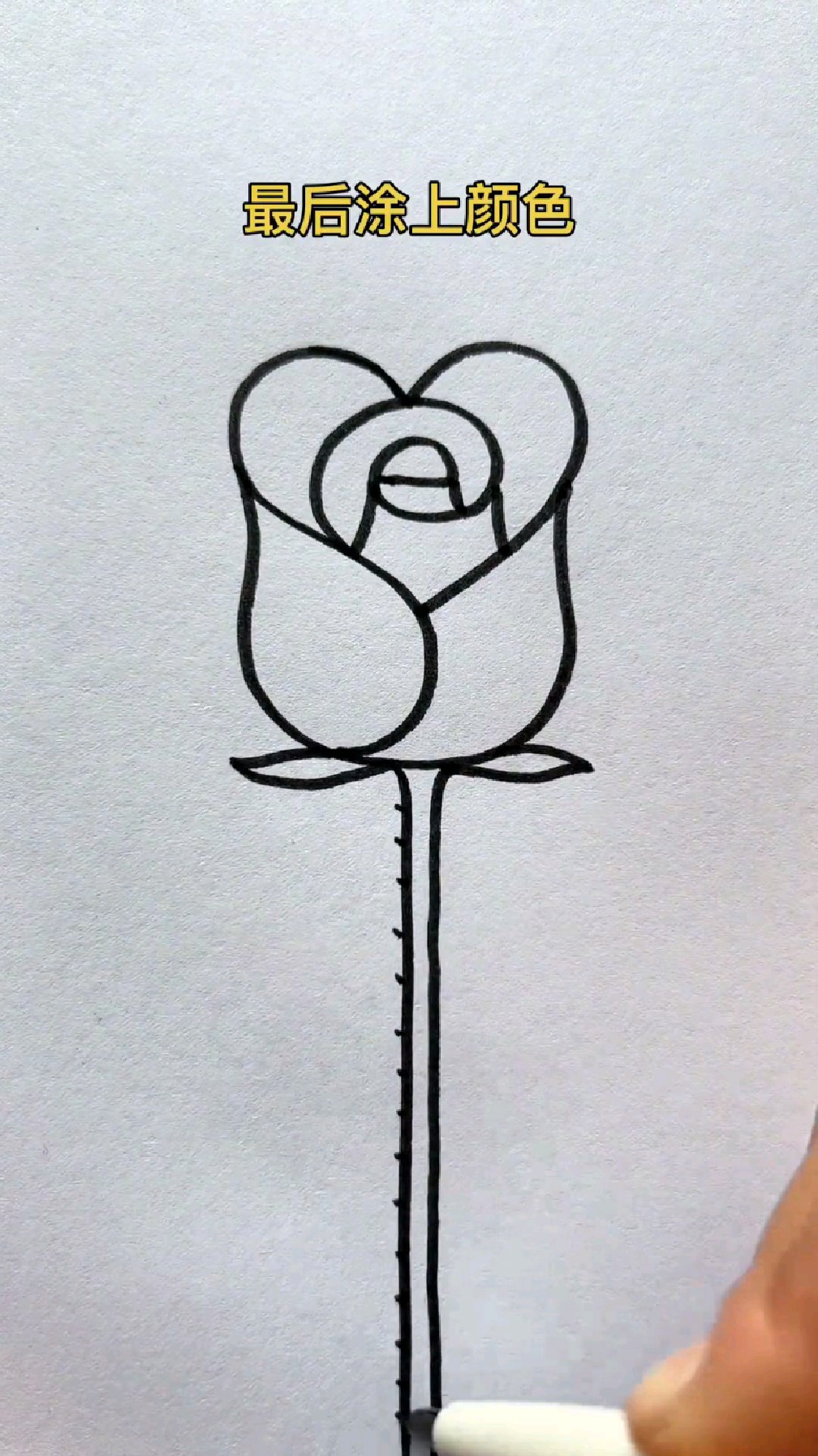 漂亮的玫瑰花简笔画