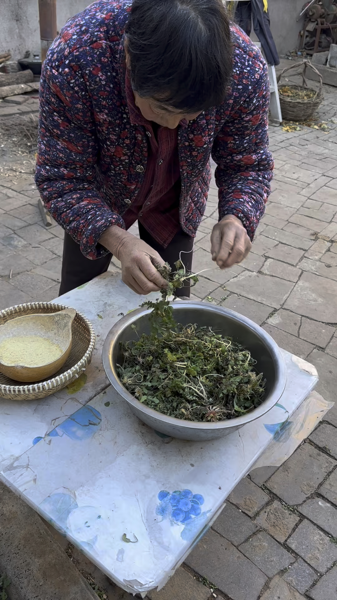 去地里挖了一些野生荠菜，放上豆面熬荠菜豆沫吃