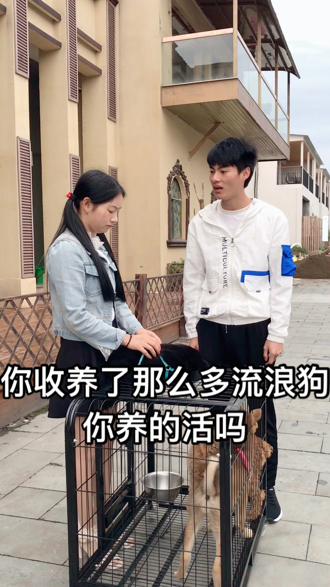 狗肉是万万不能吃的