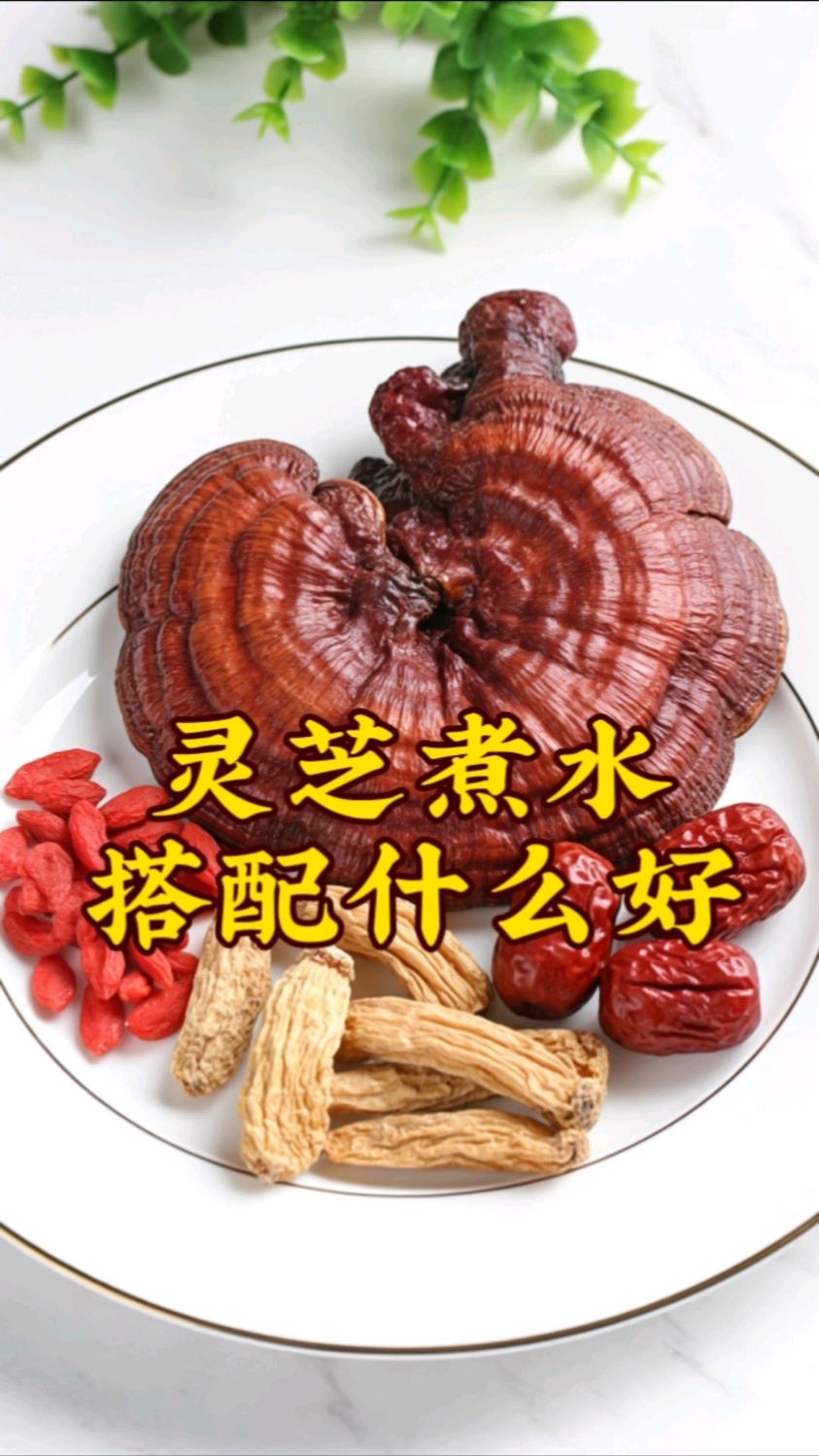 灵芝煮水与什么搭配好?三种搭配好喝又实用