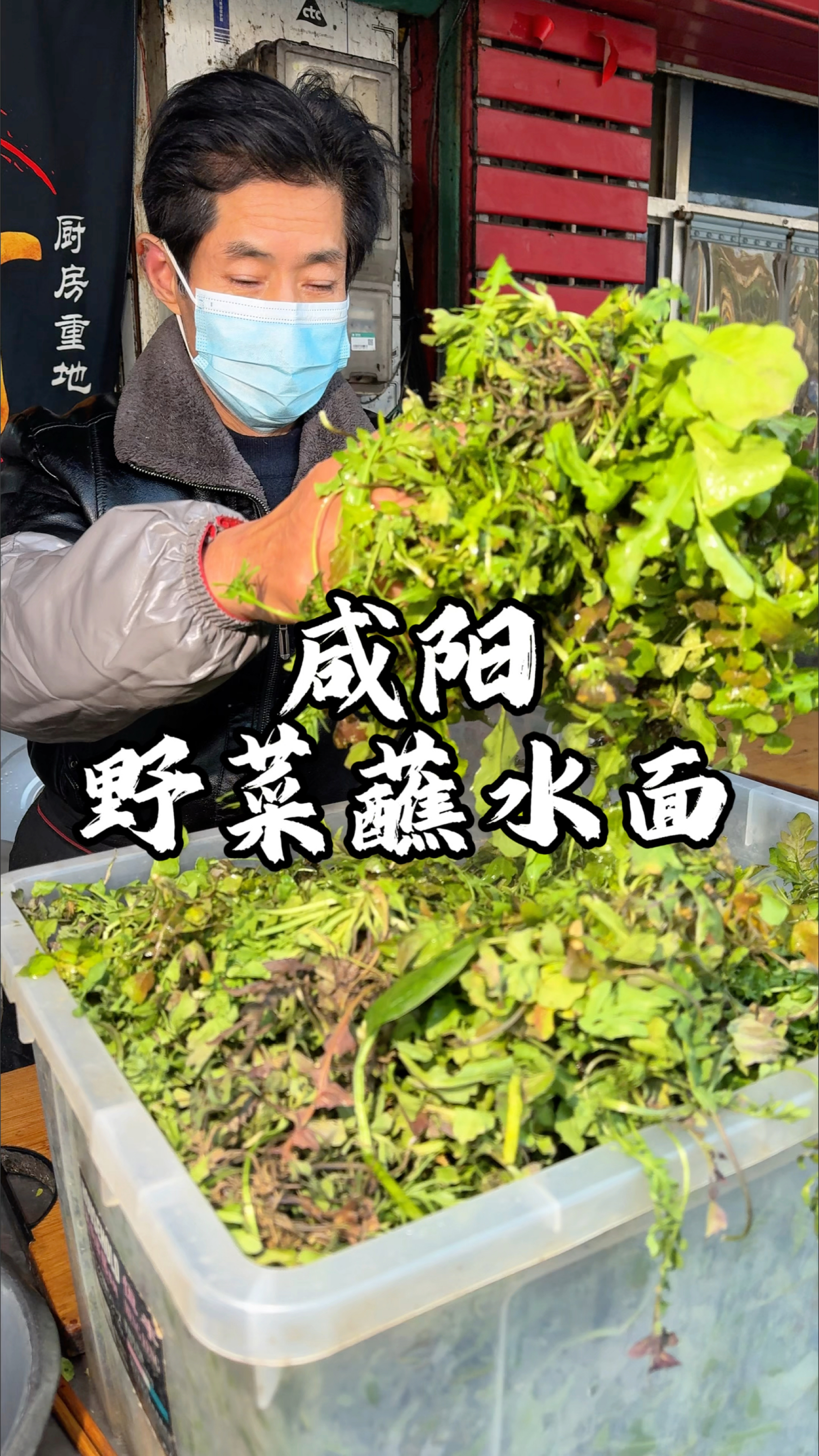 陕西咸阳杨凌区野菜蘸水面 吃蘸水面还得是杨凌的