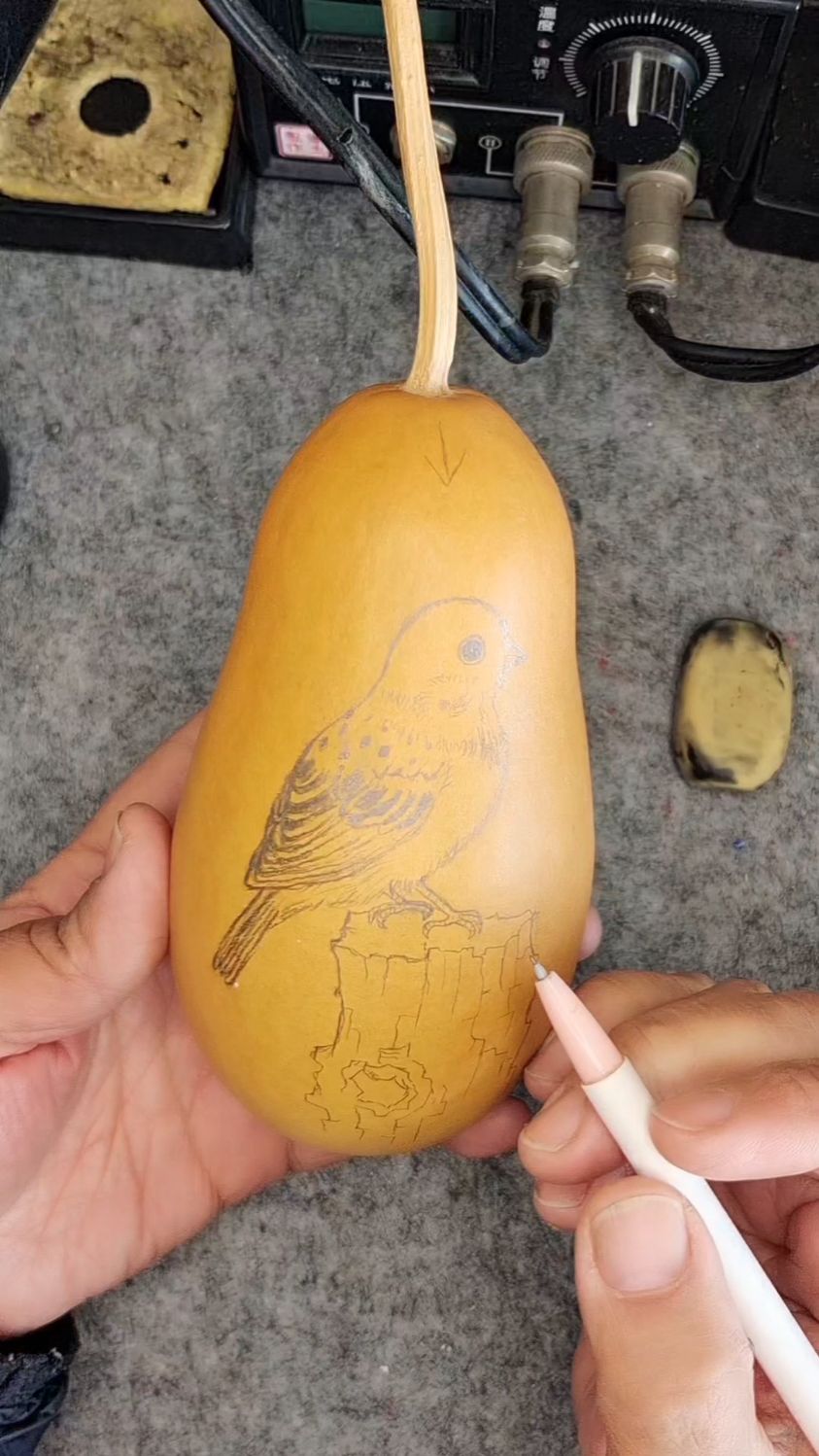 葫芦烙画小麻雀。