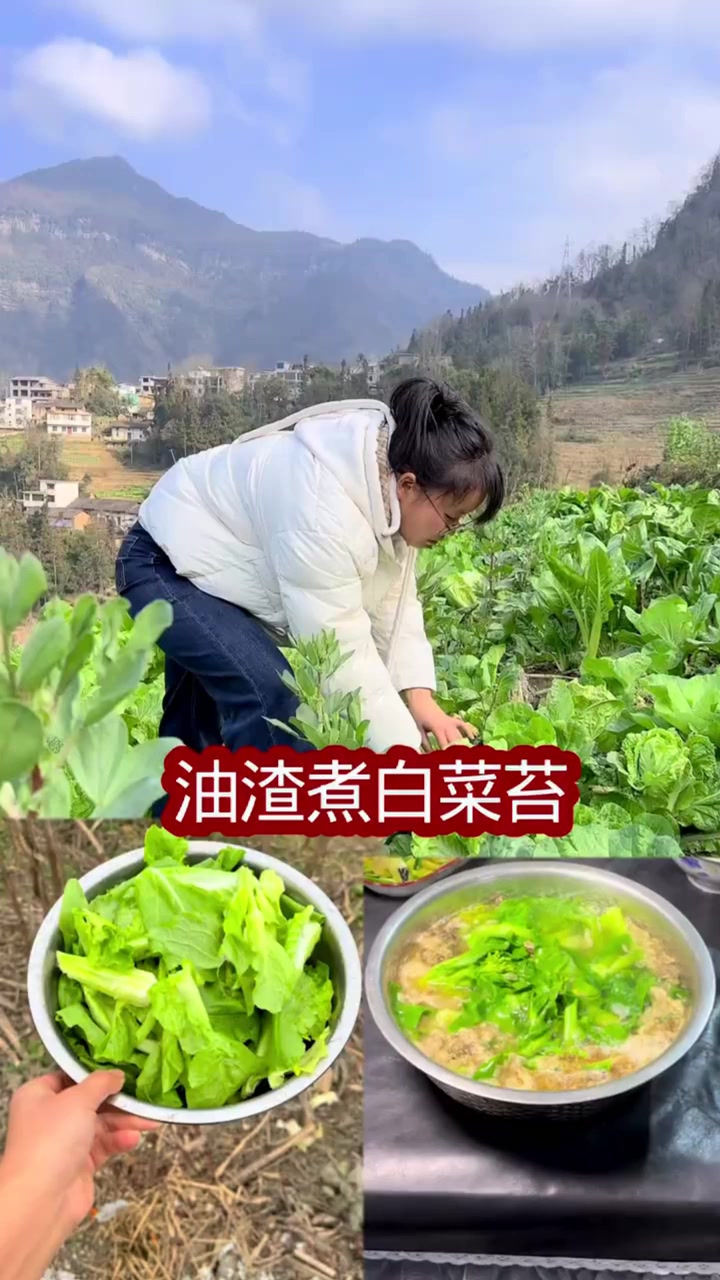 油渣煮白菜苔