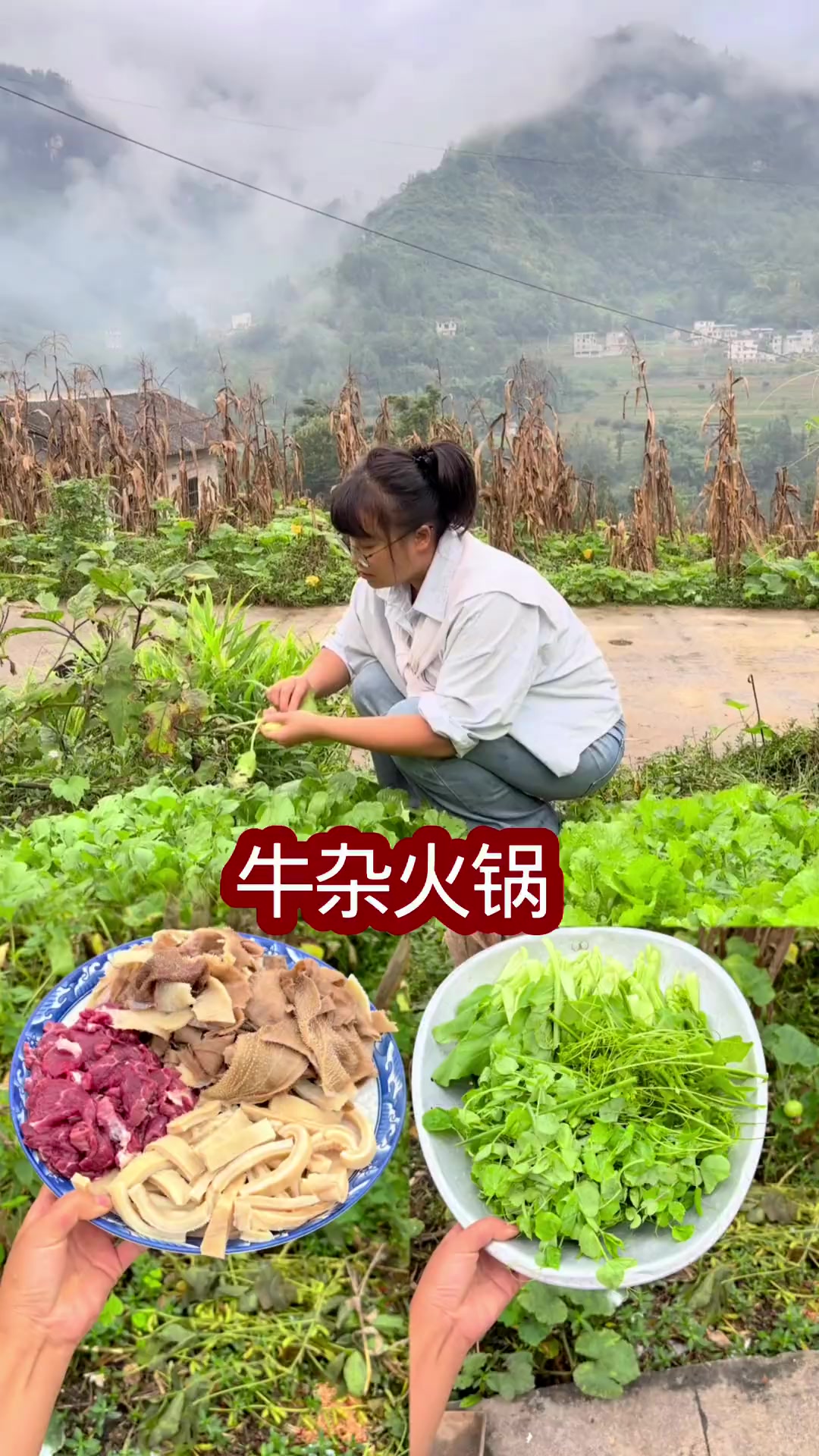 牛杂火锅