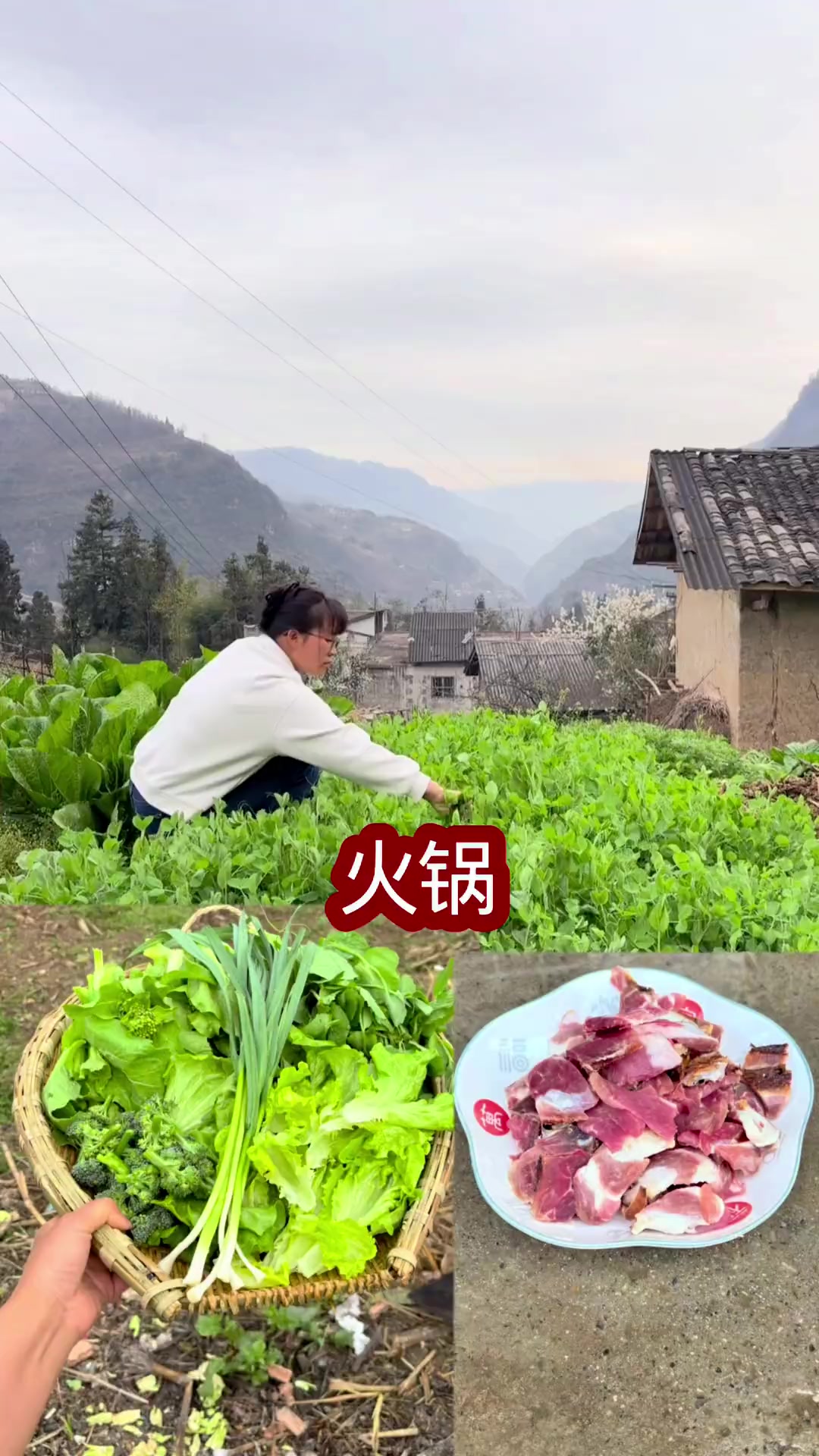 最近地里面的菜品好丰富，太适合吃火锅了