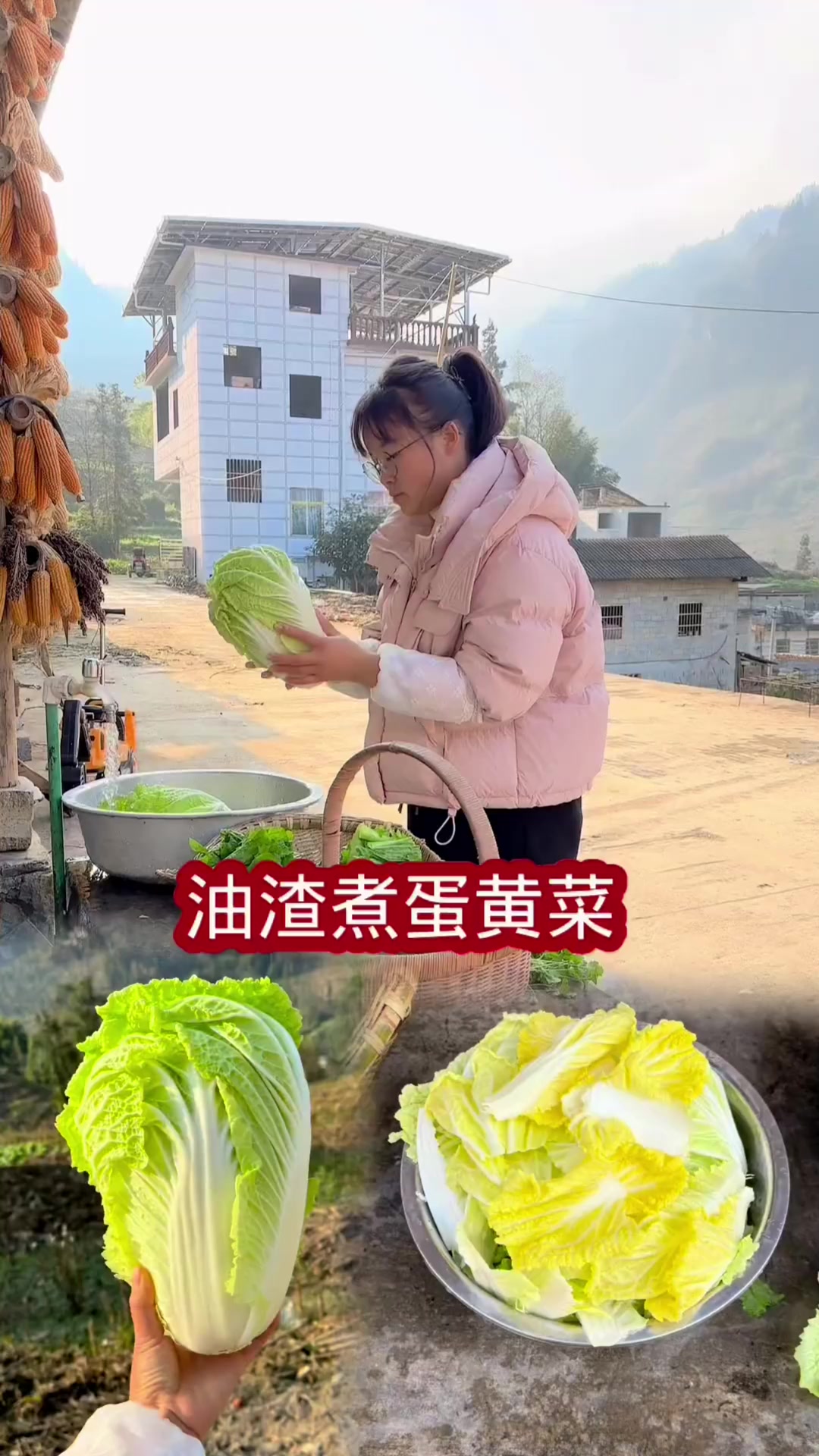 天天杀猪饭吃腻了,今天煮个淡菜吃解解腻