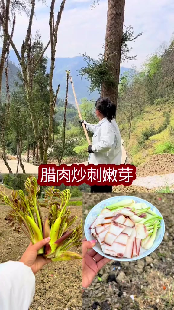 和我做朋友吗?包你有爬不完的山和摘不完的野菜