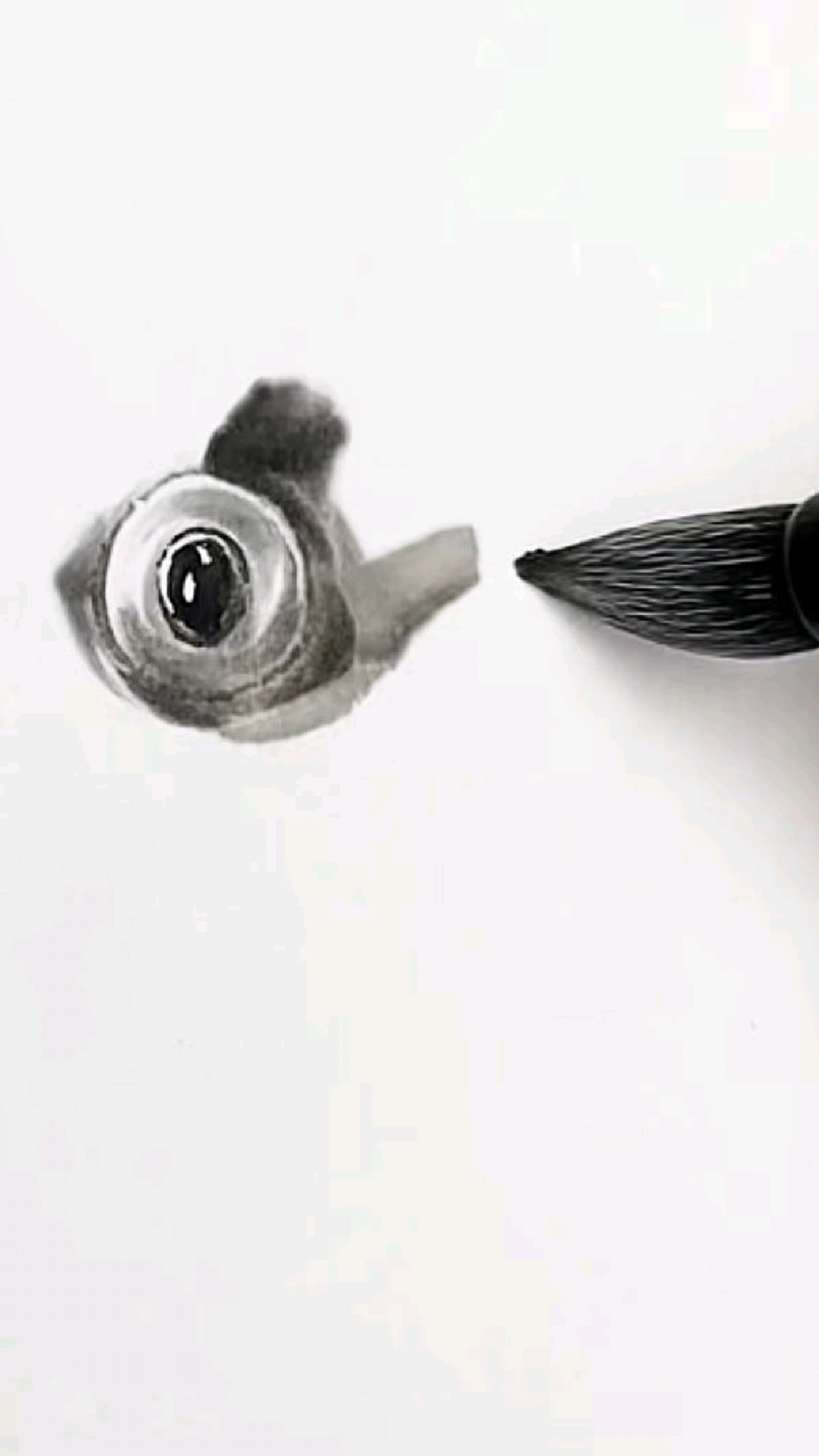 画鱼，大眼萌萌的鱼