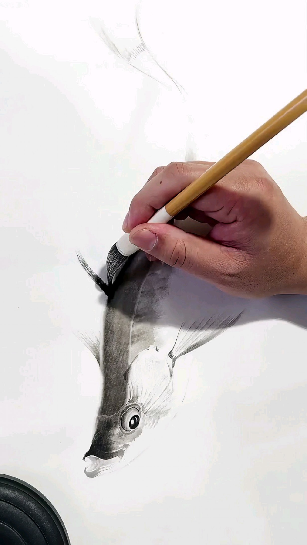 画个铜锣鱼,郭丙端写意画