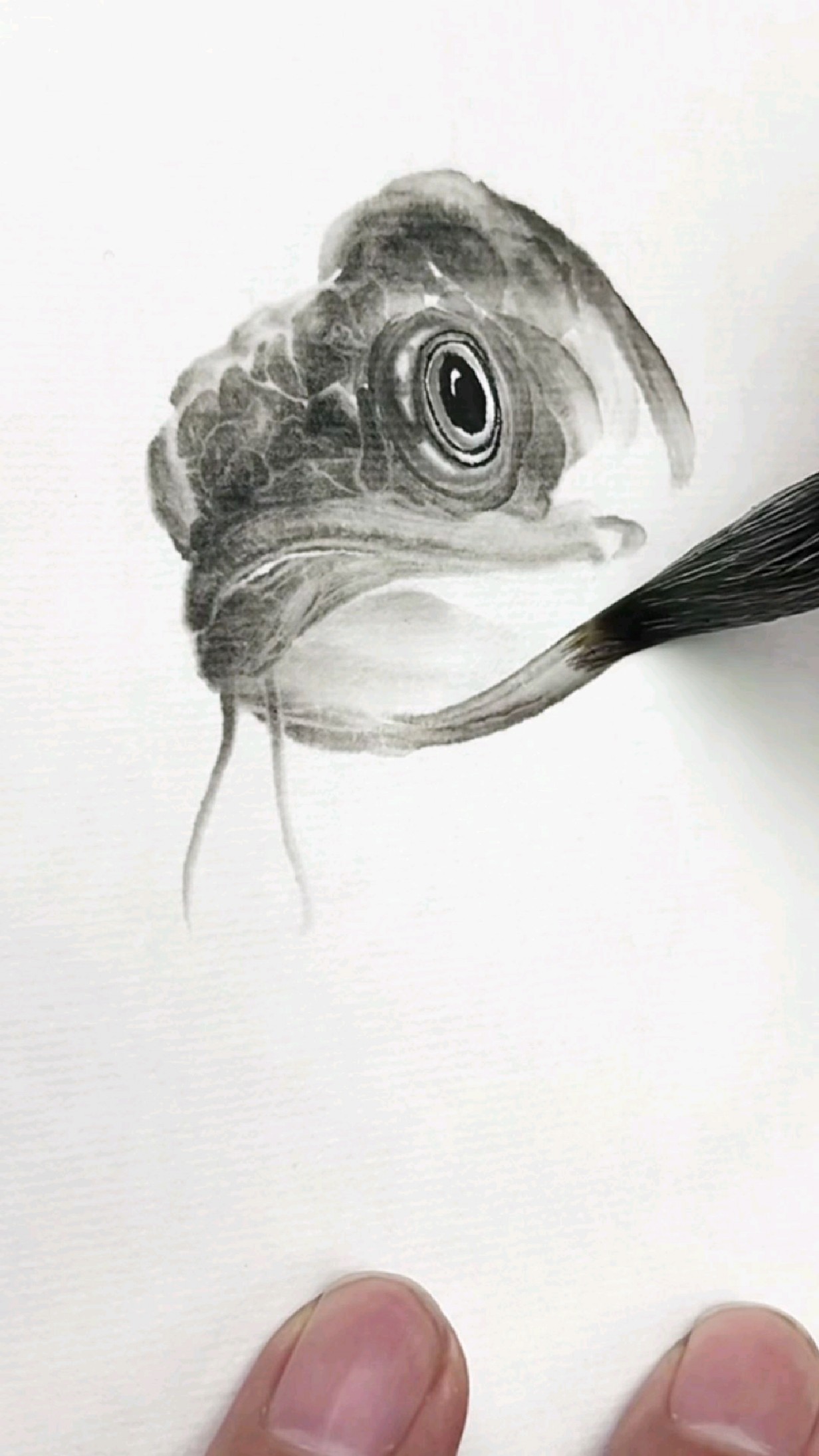 郭丙端画龙鱼,水墨写意