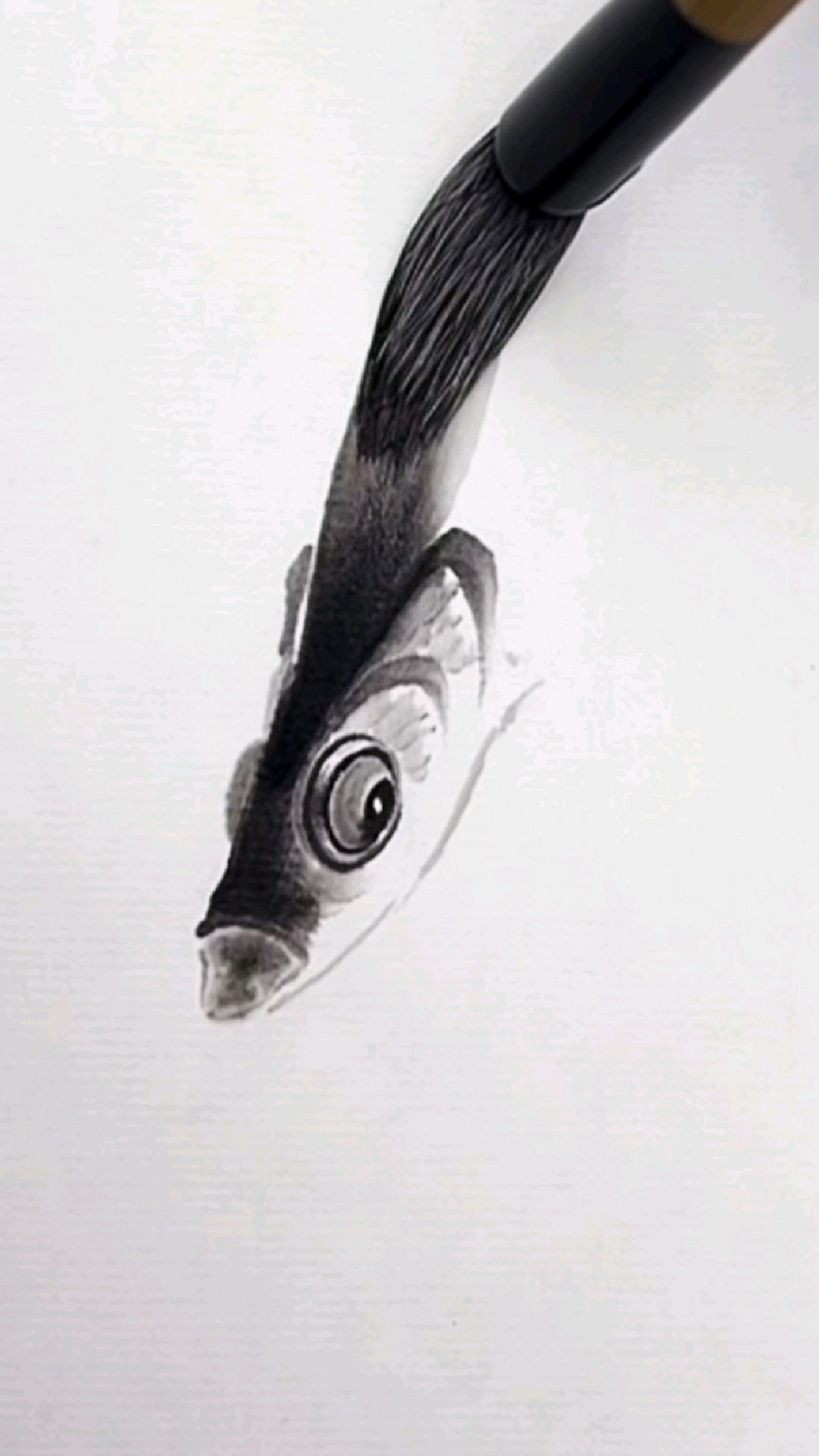 郭丙端画小鱼,水墨写意