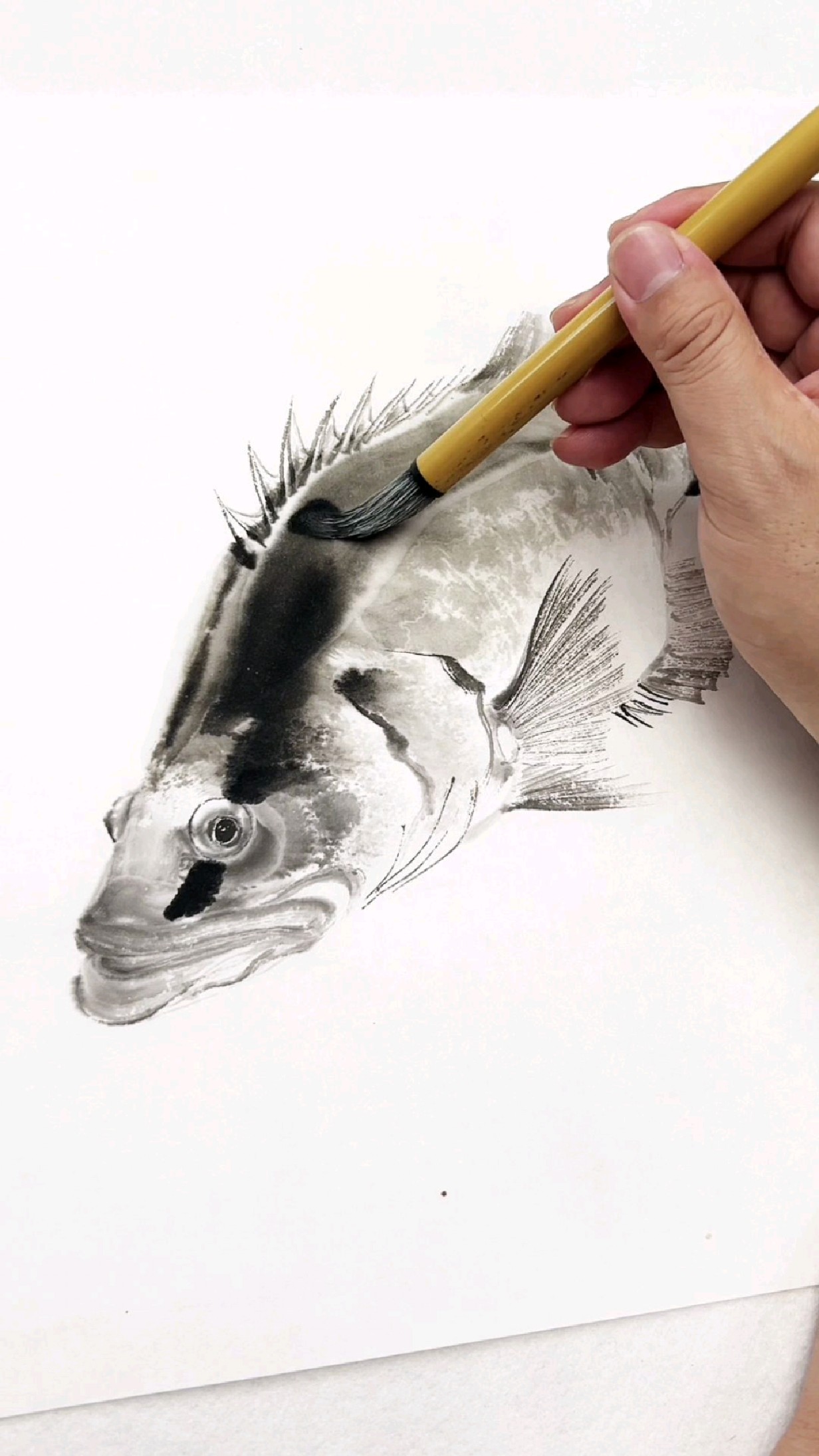 郭丙端画鳜鱼,水墨写意