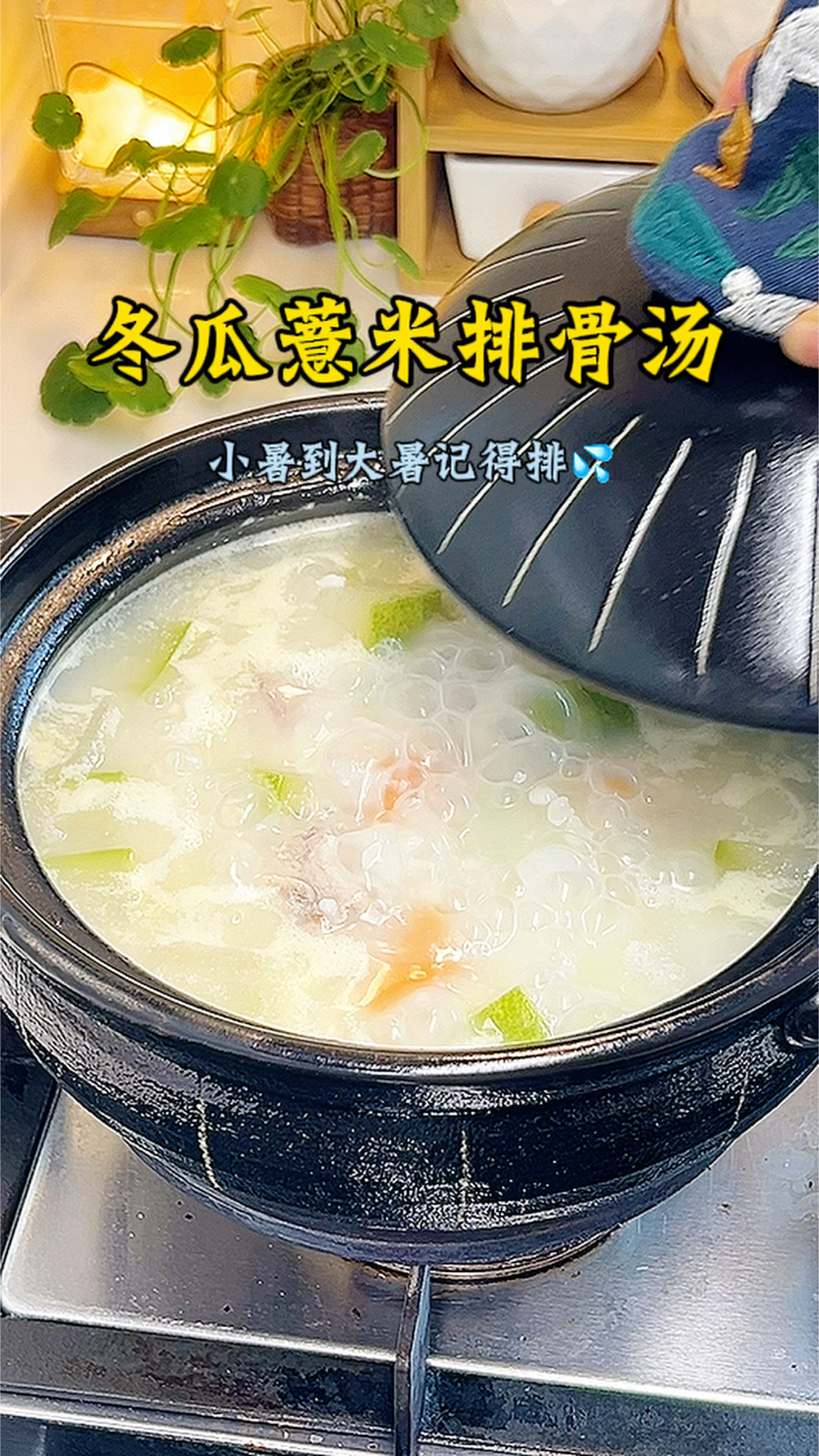7月7日小暑节气，多给自己和家人煮冬瓜薏米排骨汤，喝着清清爽爽