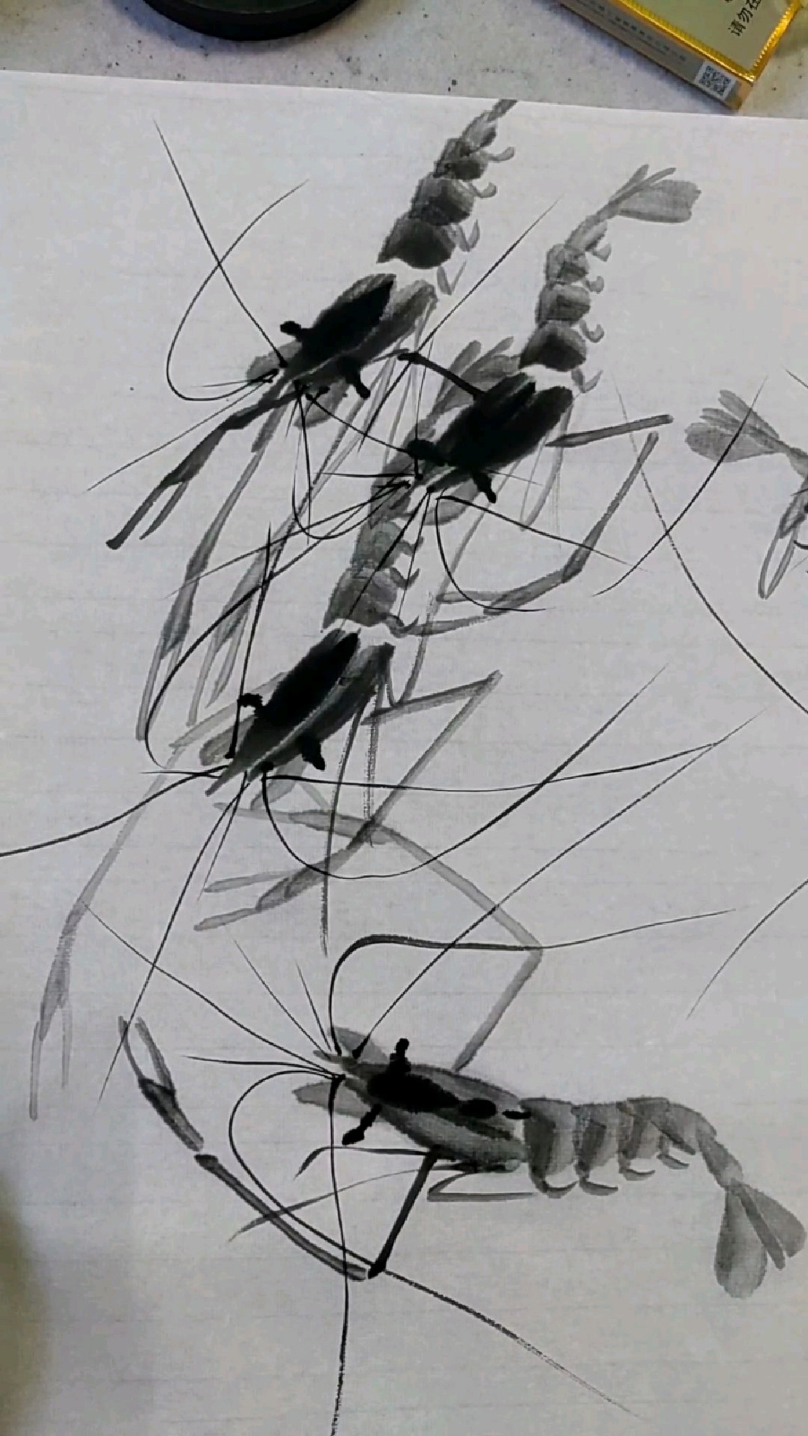 写意虾《六一五》