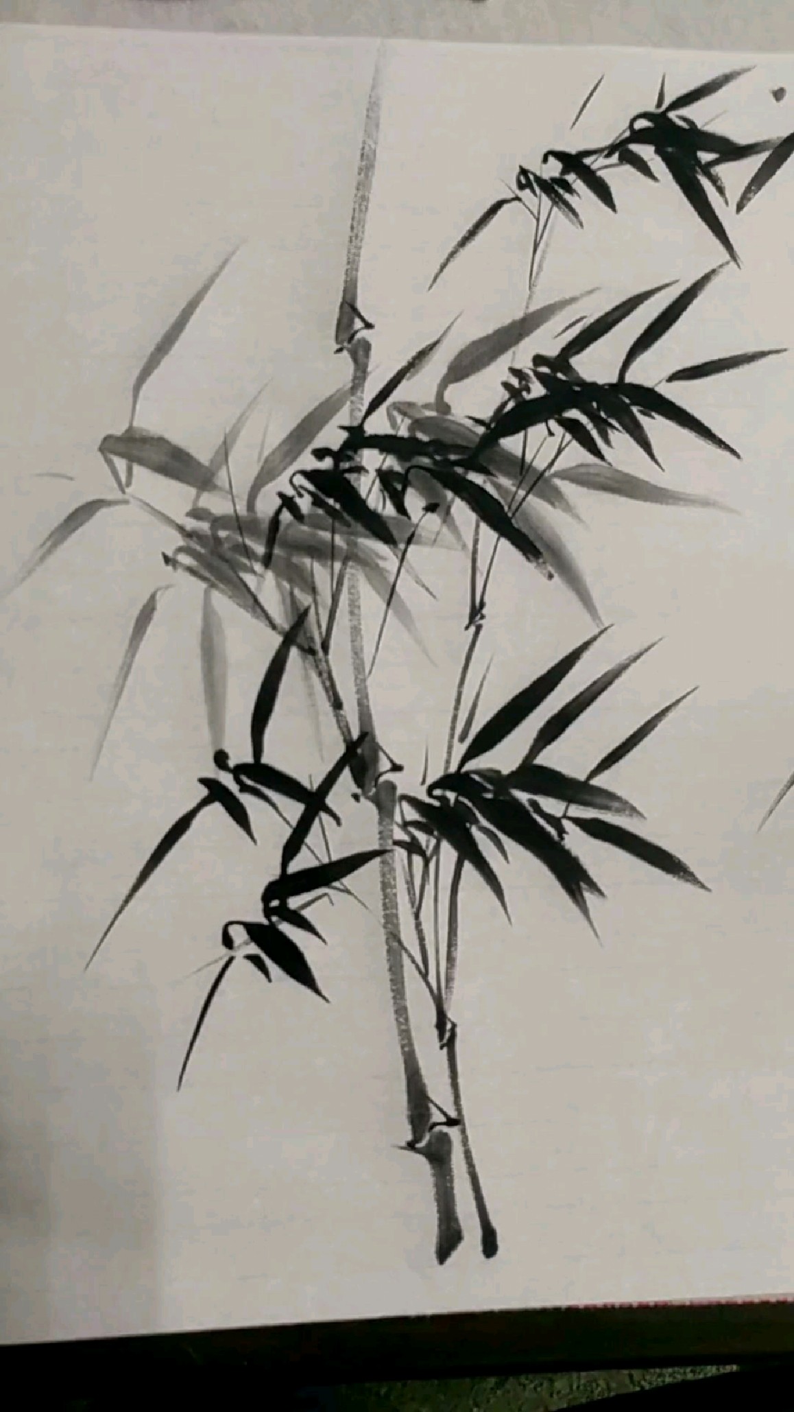 国画竹《七零八》