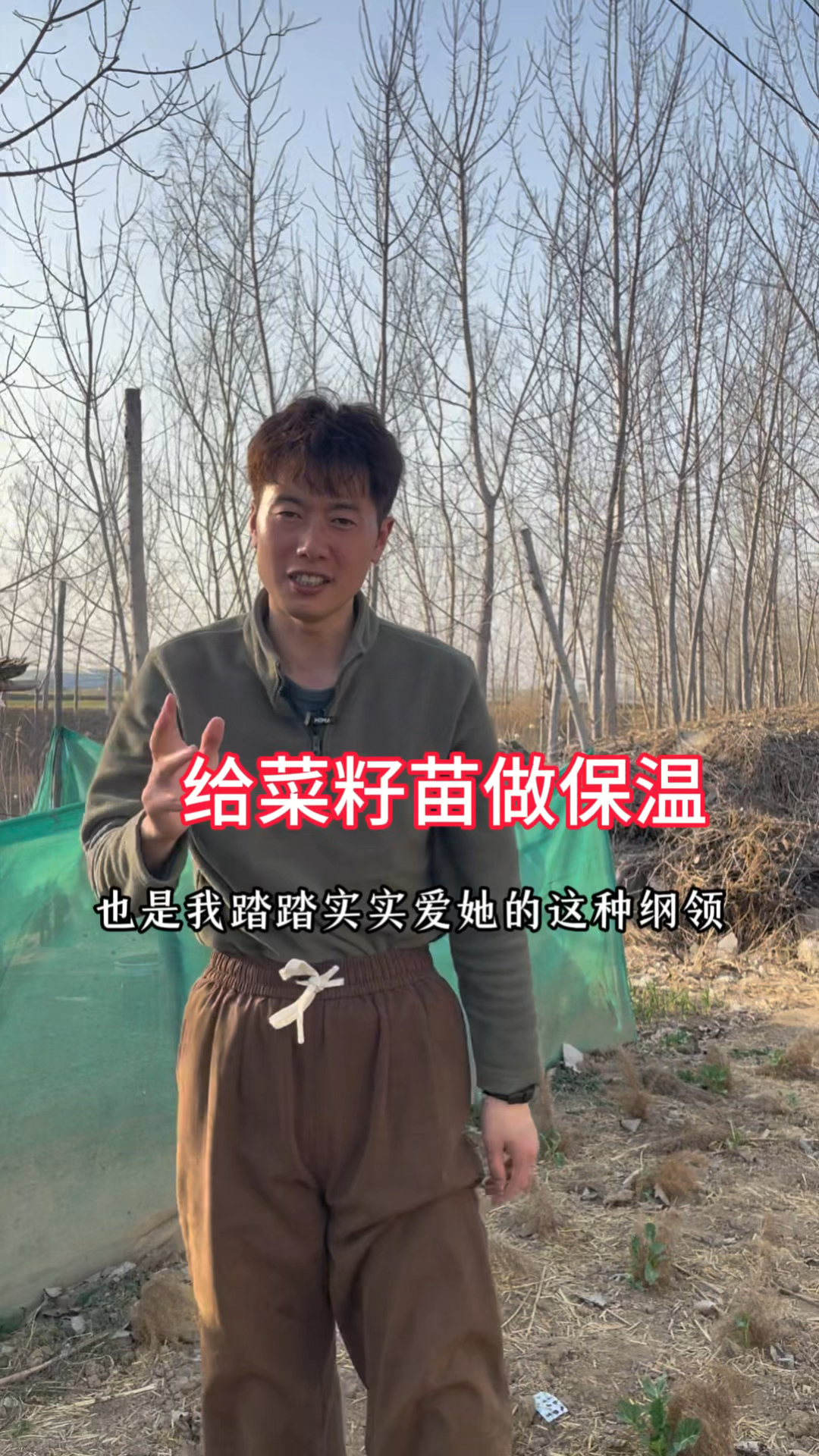 给菜籽苗做保温了
