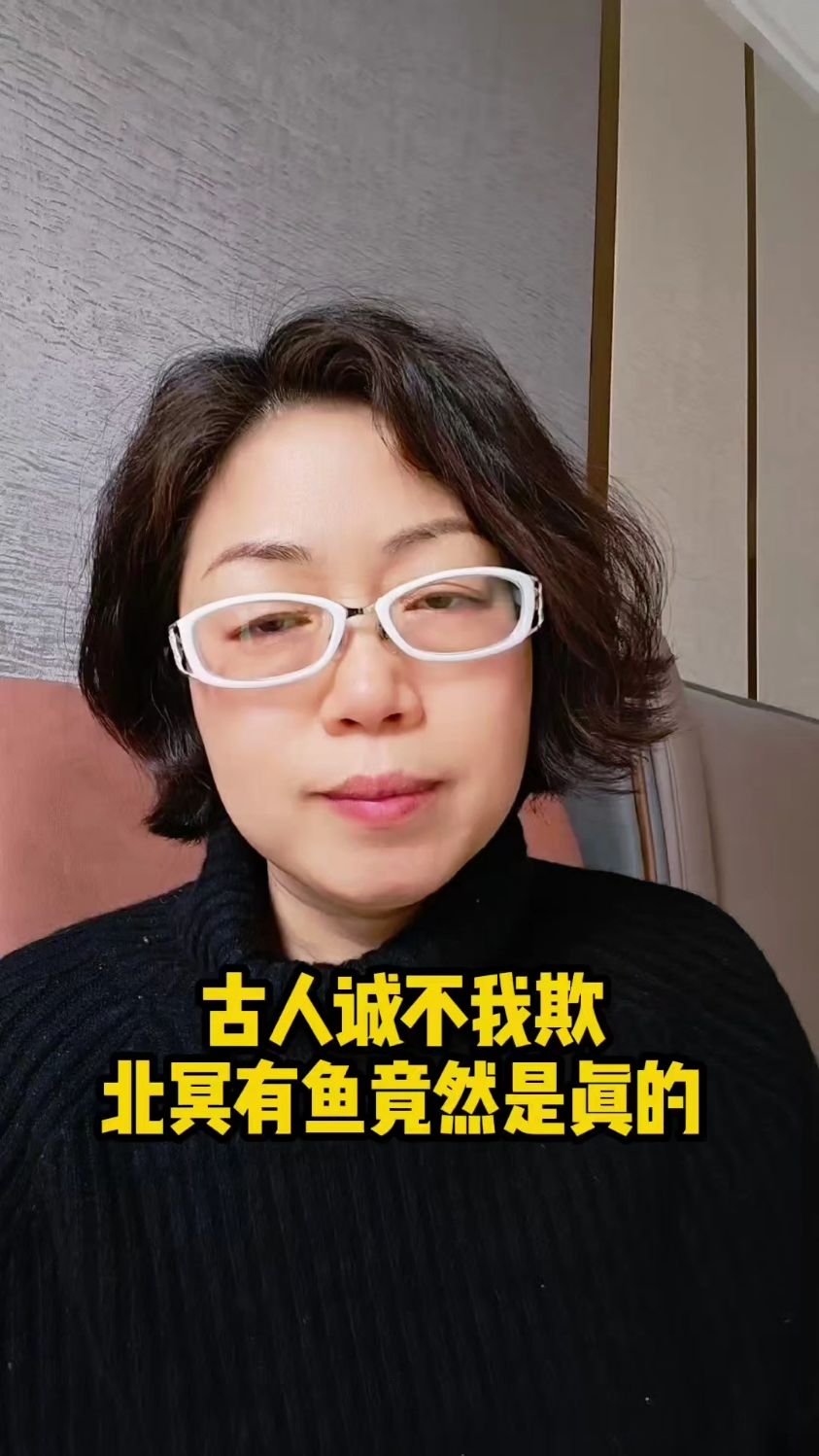 古人诚不我欺 北冥有鱼 其名为鲲 具象化了
