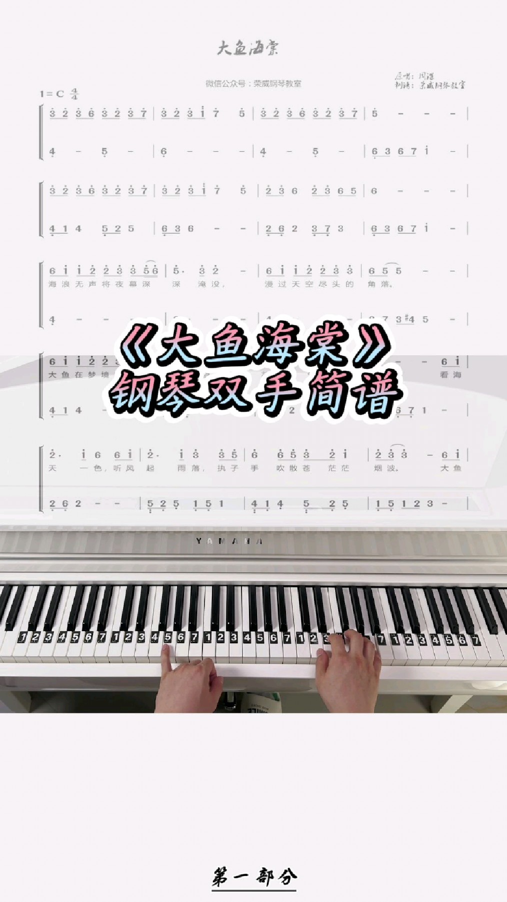 《大鱼海棠》入门级钢琴双手简谱教学