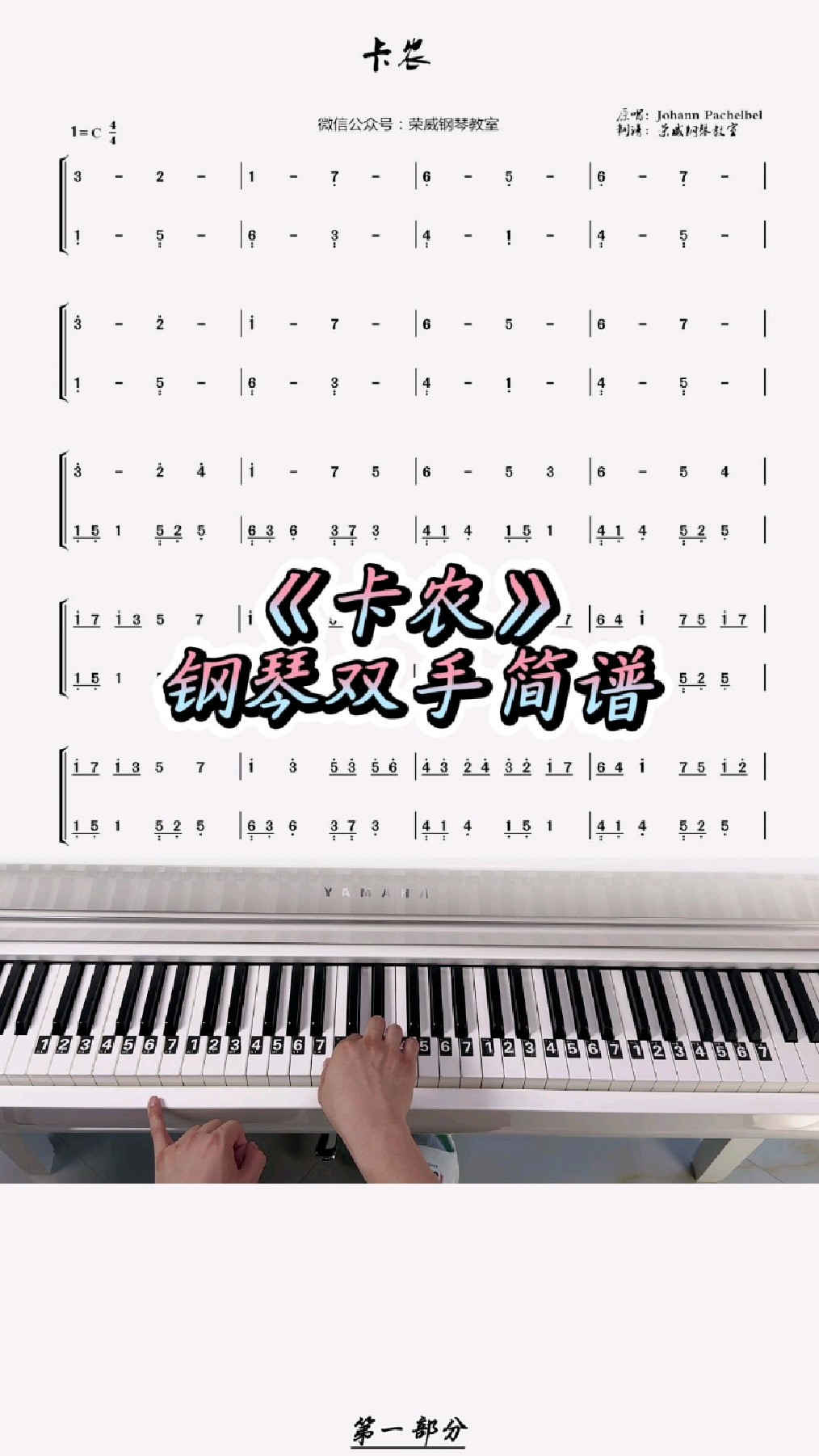 《卡农钢琴曲》入门简单钢琴双手简谱教学