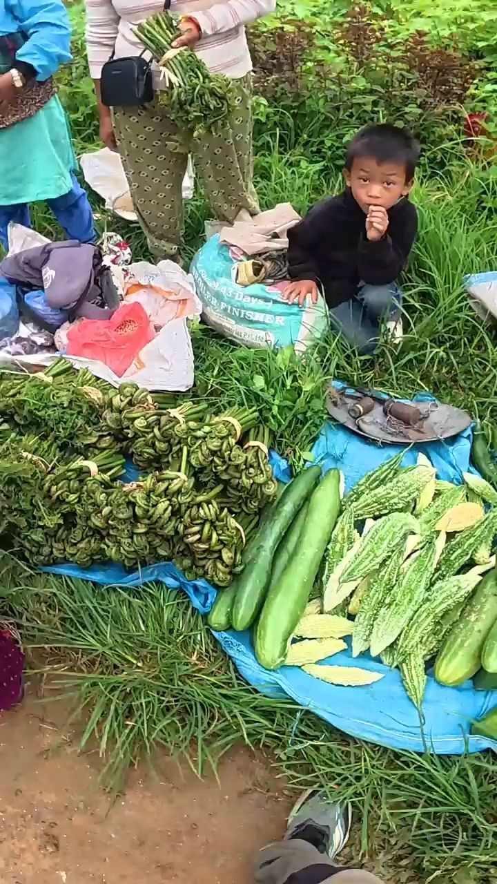 尼泊尔的路边摊,卖各种各样的蔬菜,蕨菜都好几种