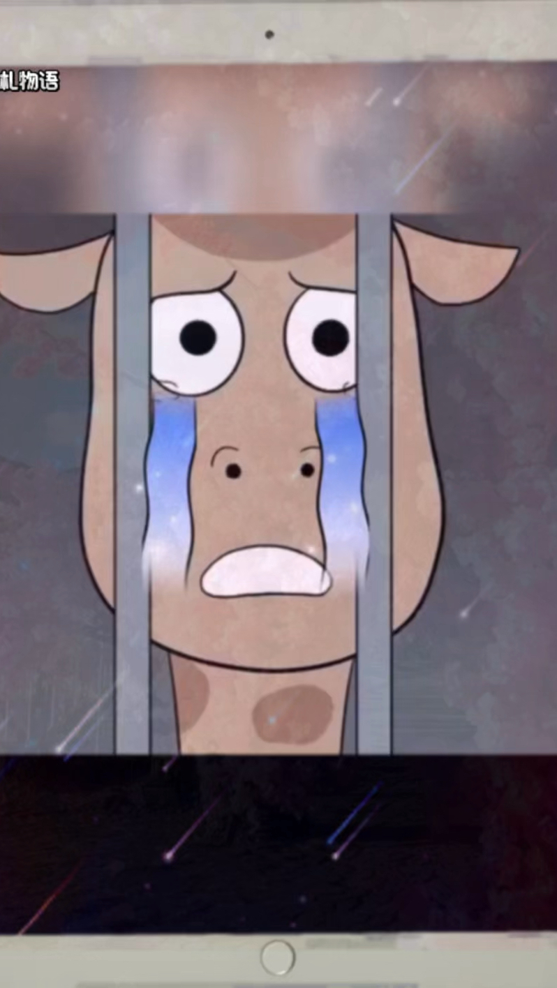 别人都有疯狂动物表情包,你有吗