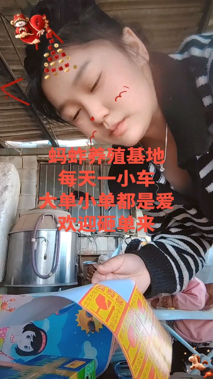 蚂蚱养殖基地摘掉翅膀的 冰冻蚂蚱活体蚂蚱蚂蚱卵 纯公蚂蚱纯母蚂