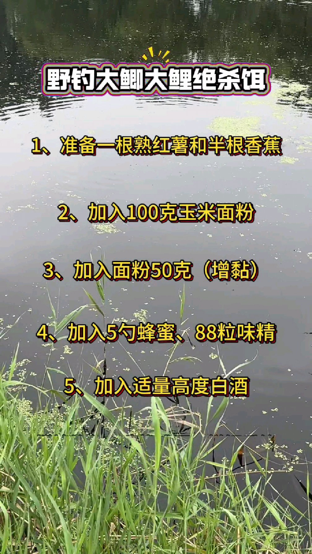 野钓大鲫大鲤绝杀饵。