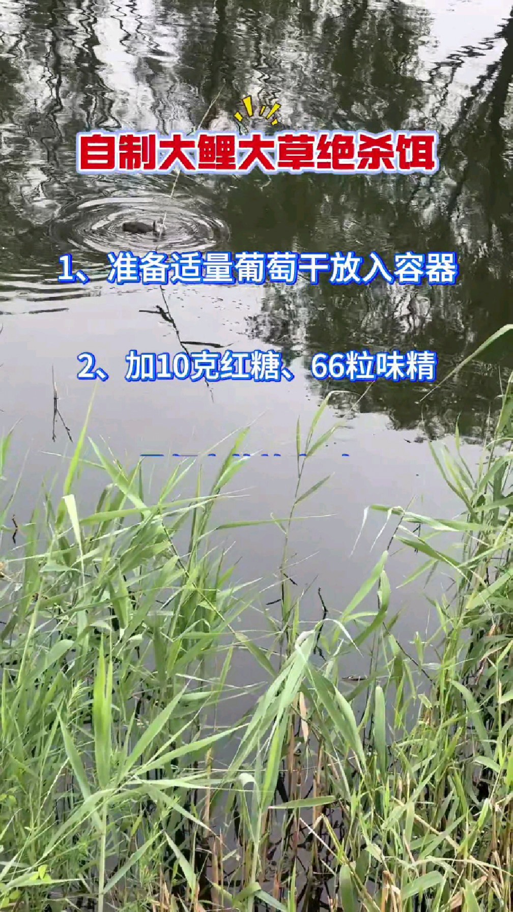 自制大鲤大草绝杀饵。