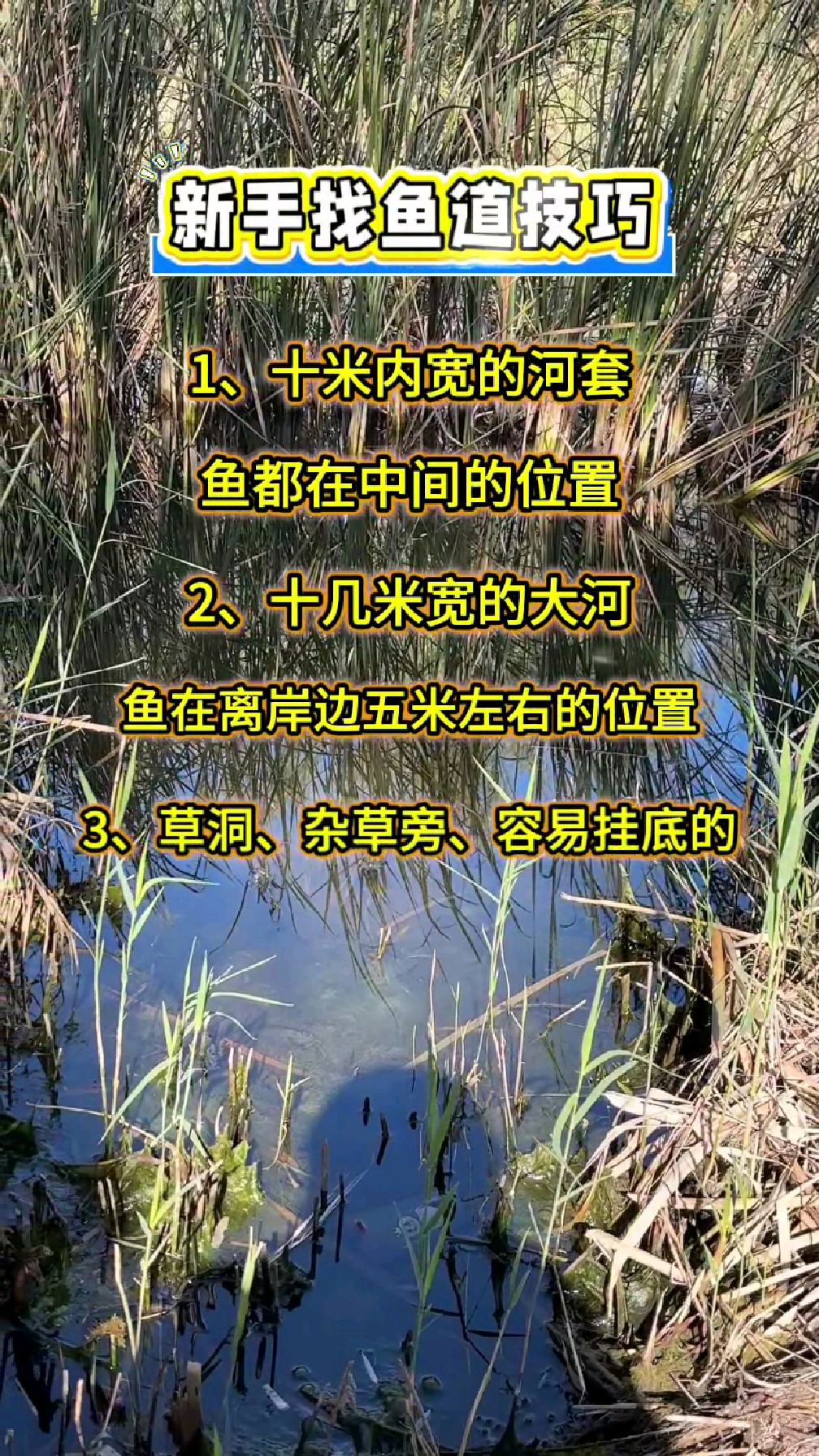 野钓新手找鱼道技巧