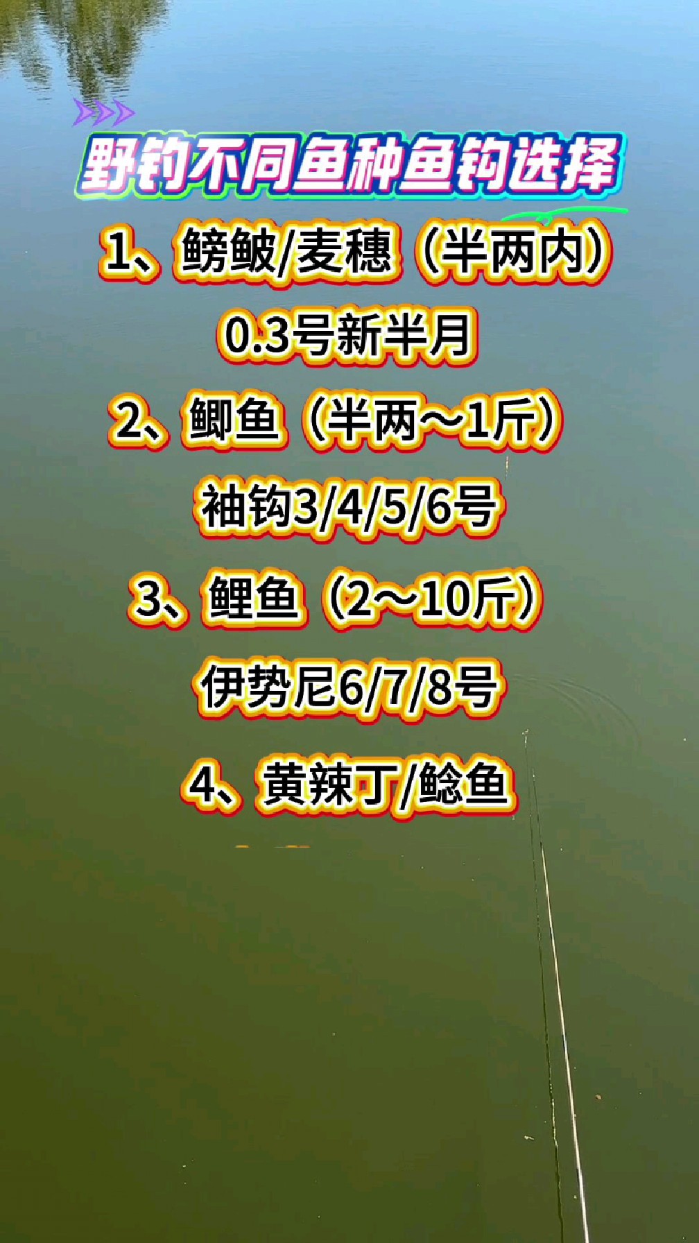 不同鱼种鱼钩选择。