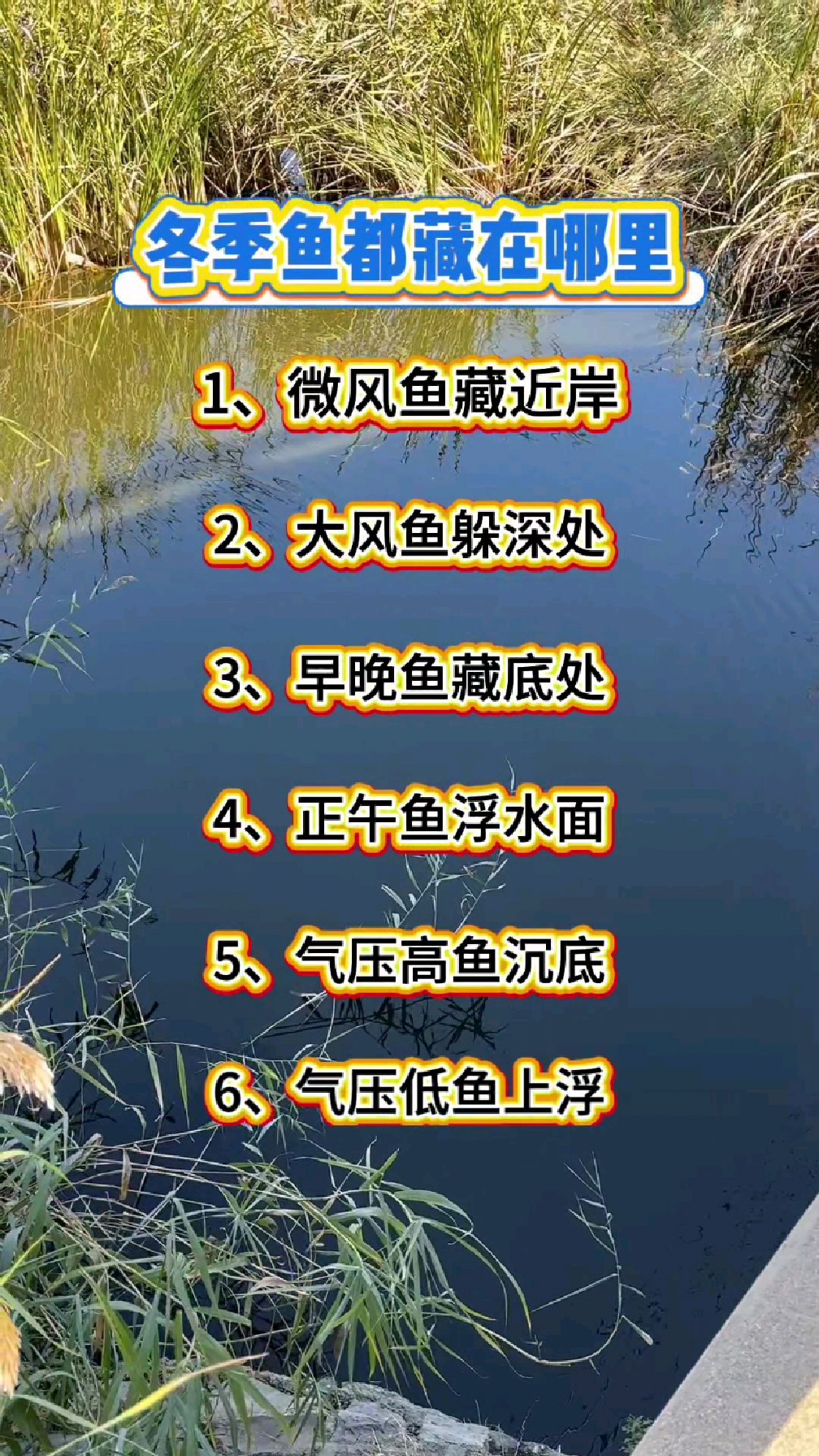 冬季鱼都藏在哪里。