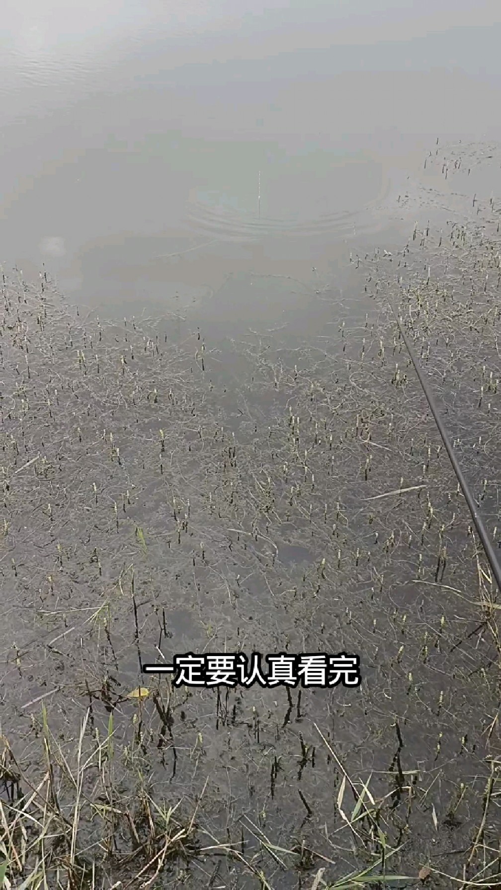 野钓新手鱼竿尺寸推荐。