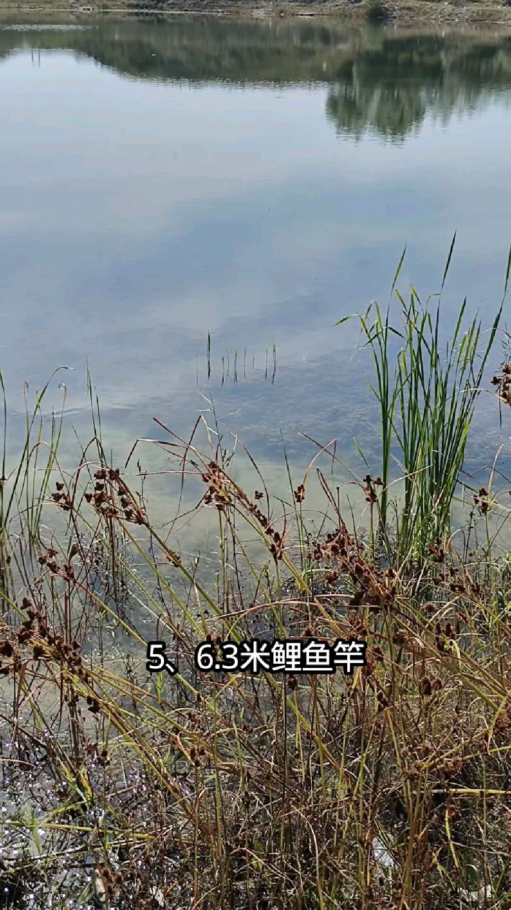 野钓新手鱼竿尺寸选择推荐。