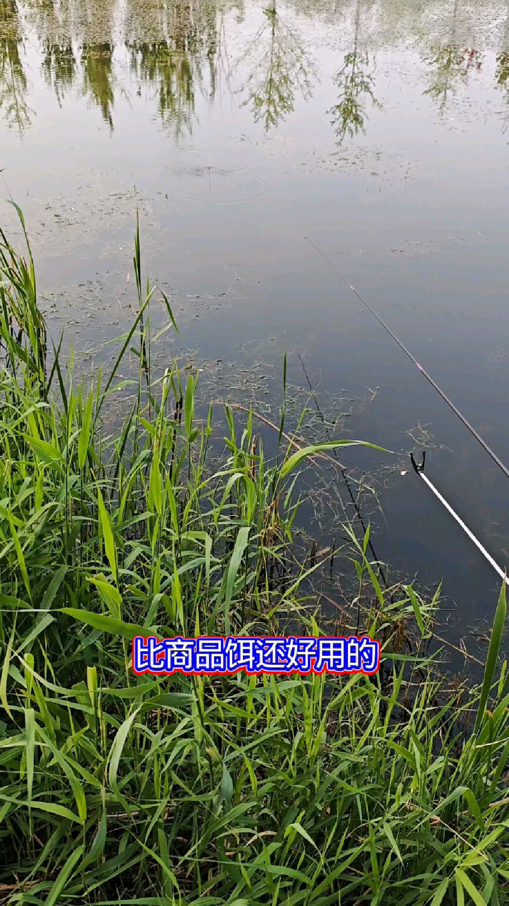 钓大鲫鱼比商品饵还好用的配方。