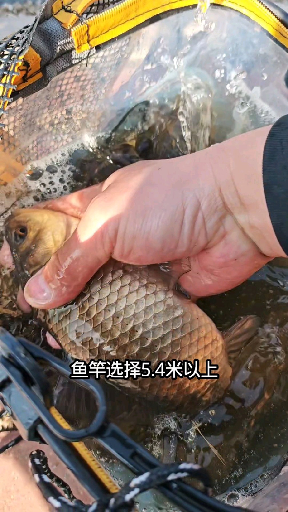 户外野钓鲤鱼技巧。