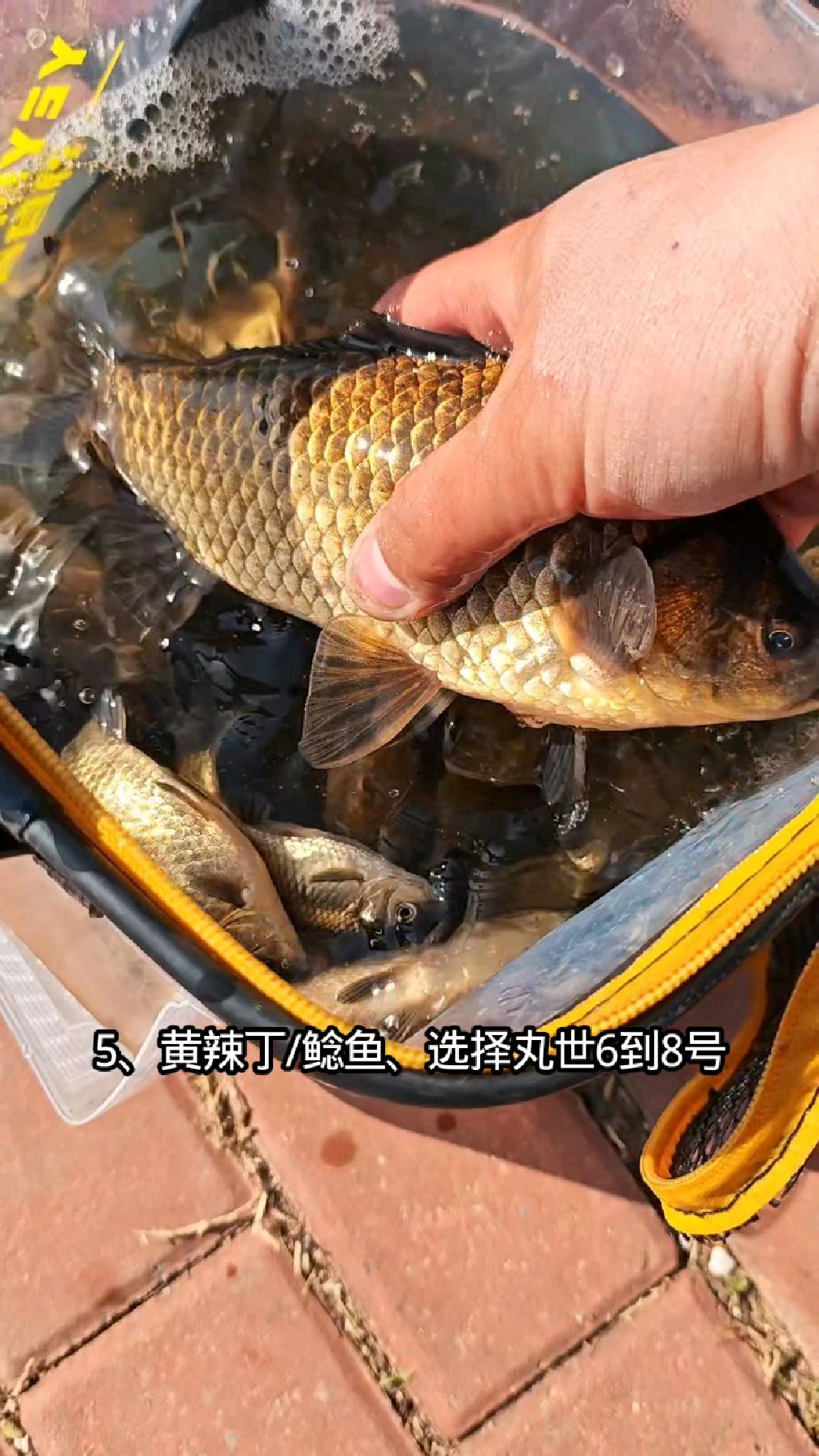 野钓不同鱼种鱼钩选择。