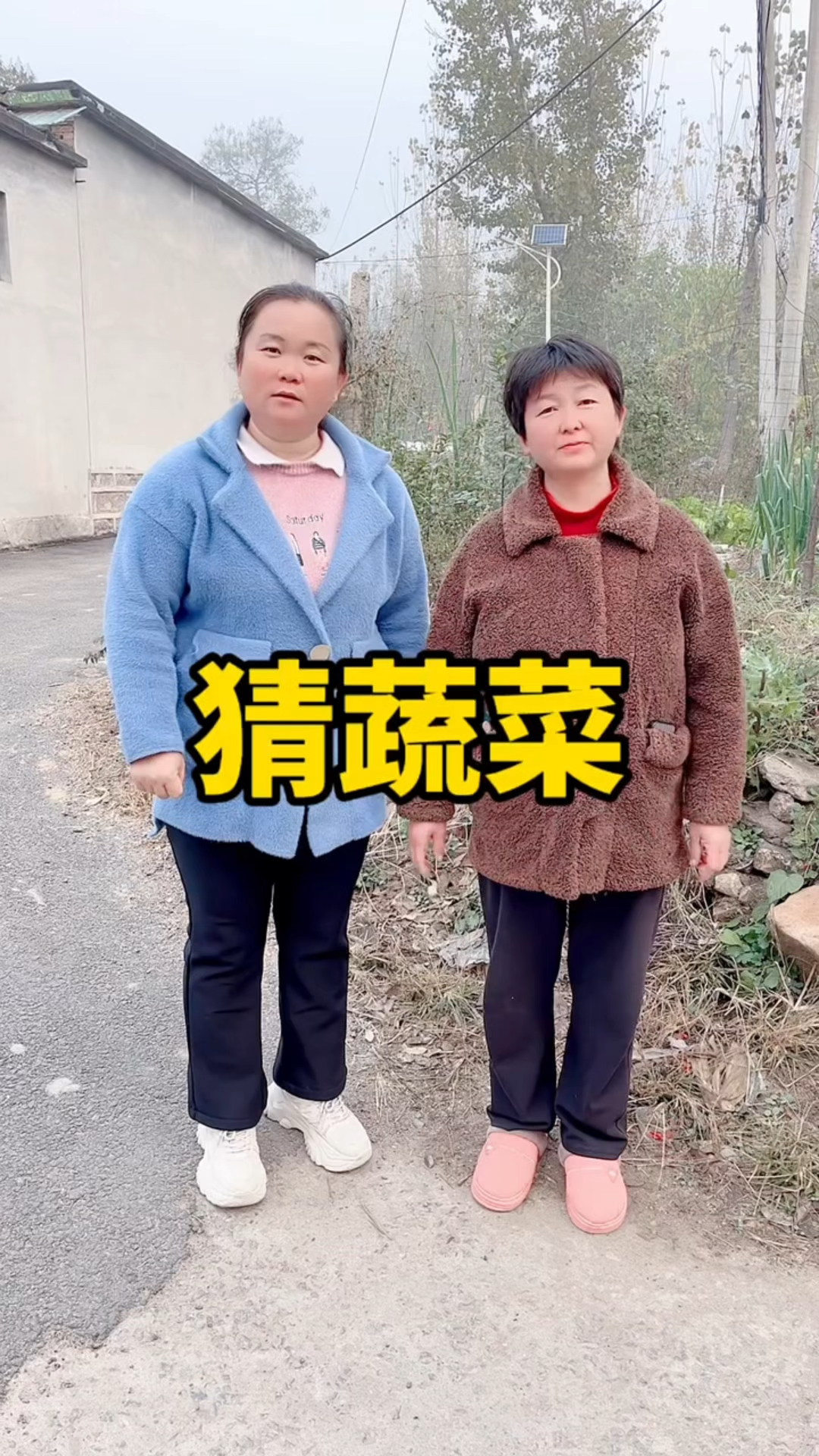 猜蔬菜游戏挑战!