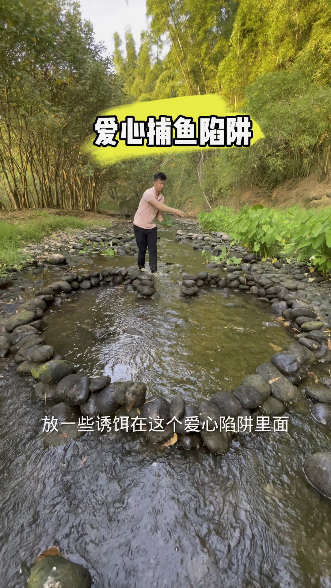 在小溪边制作一个爱心抓鱼陷阱