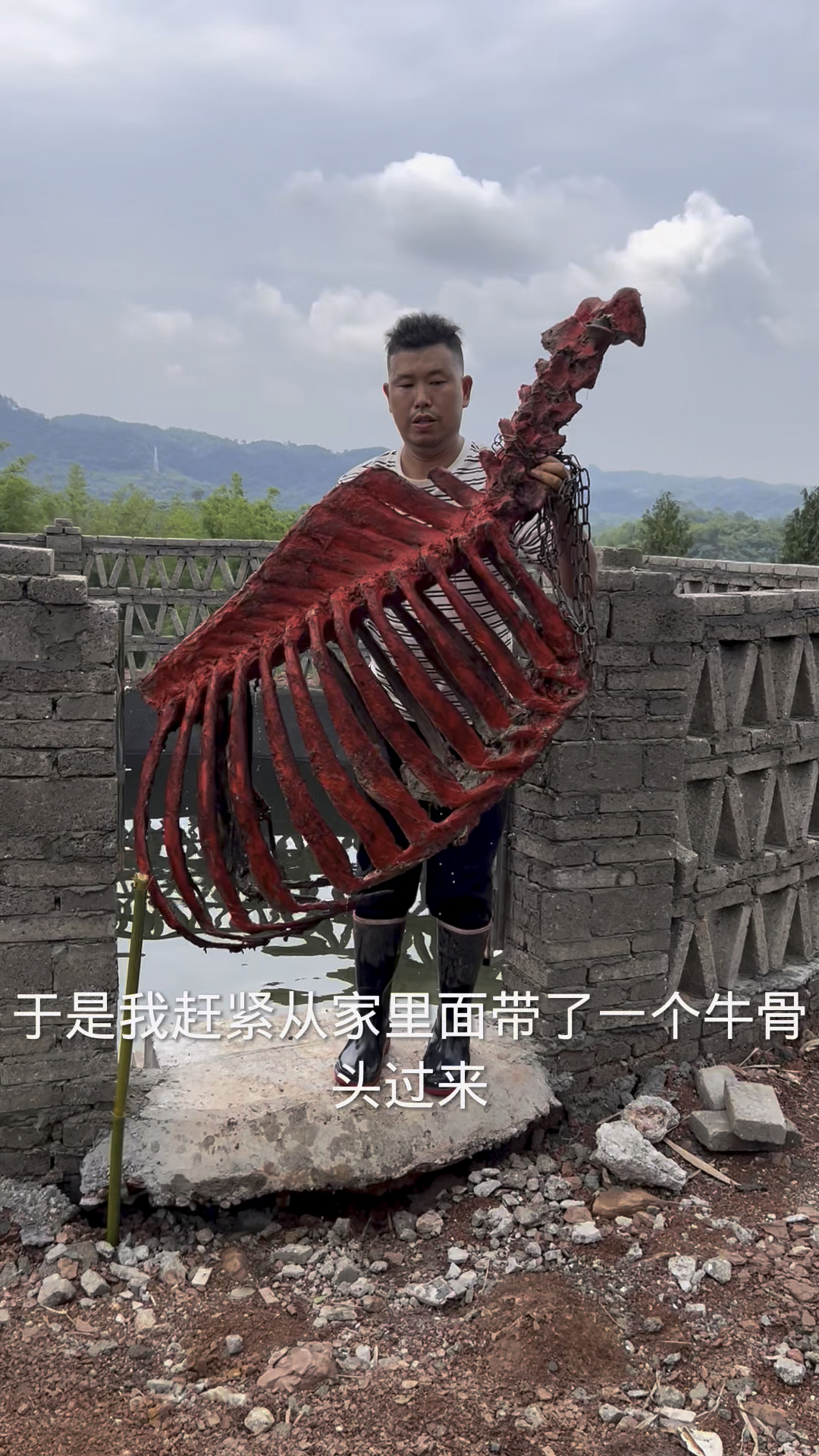 水池里面有个大家伙把鸭子拖进去了马上抽干抓他