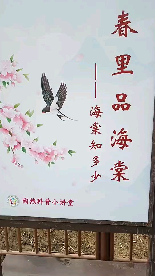 你知道海棠花有多少品种啊?