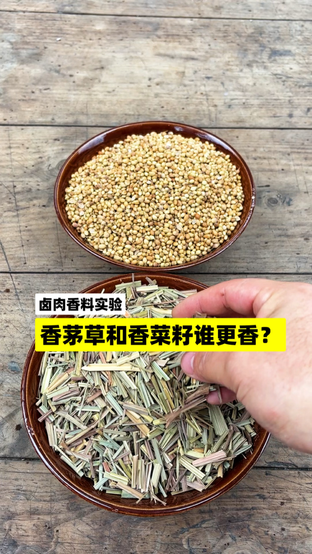 食用香料实验:香茅草和香菜籽谁更香?