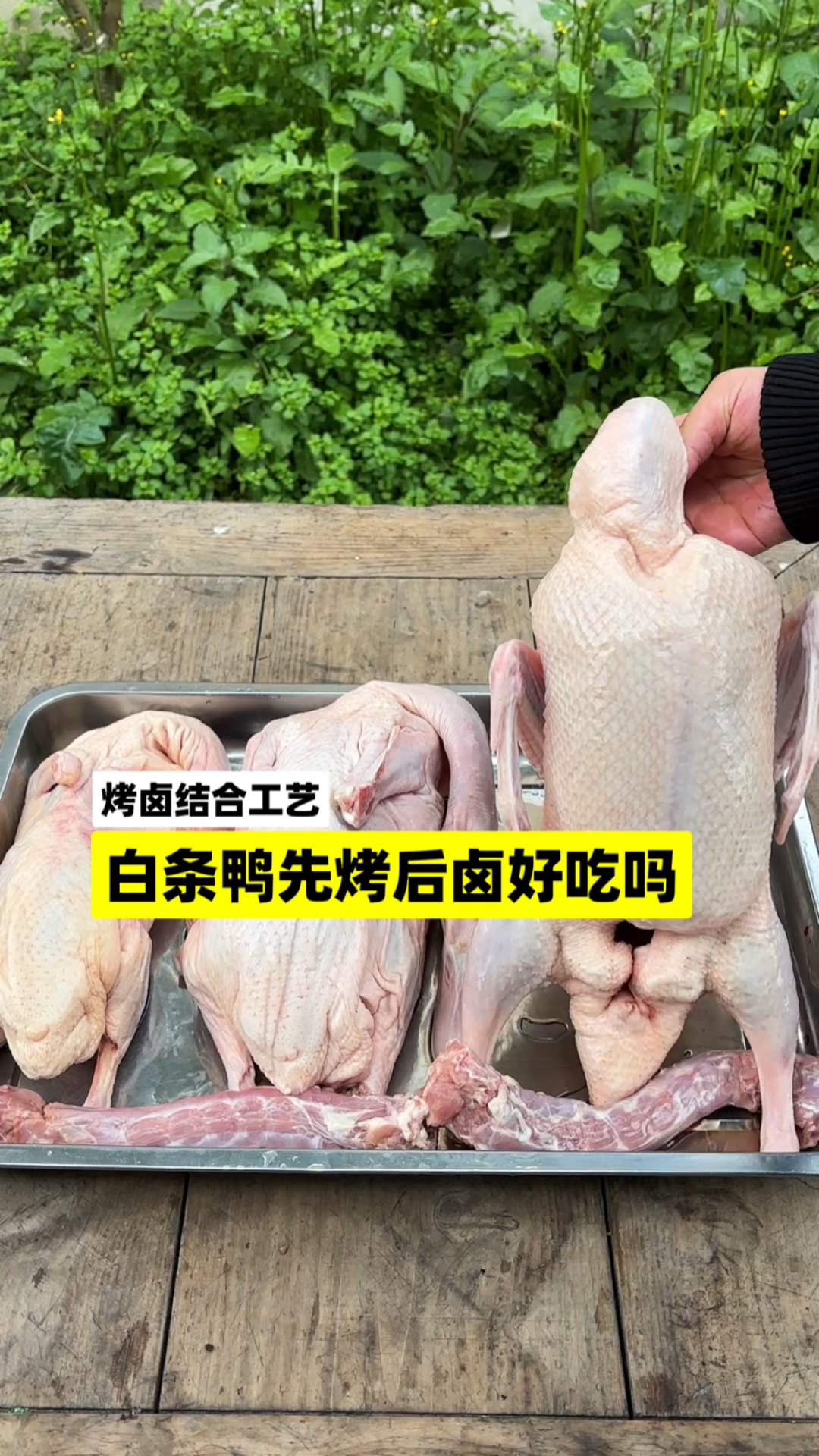 烤卤结合实验:白条鸭先烤后卤好吃吗