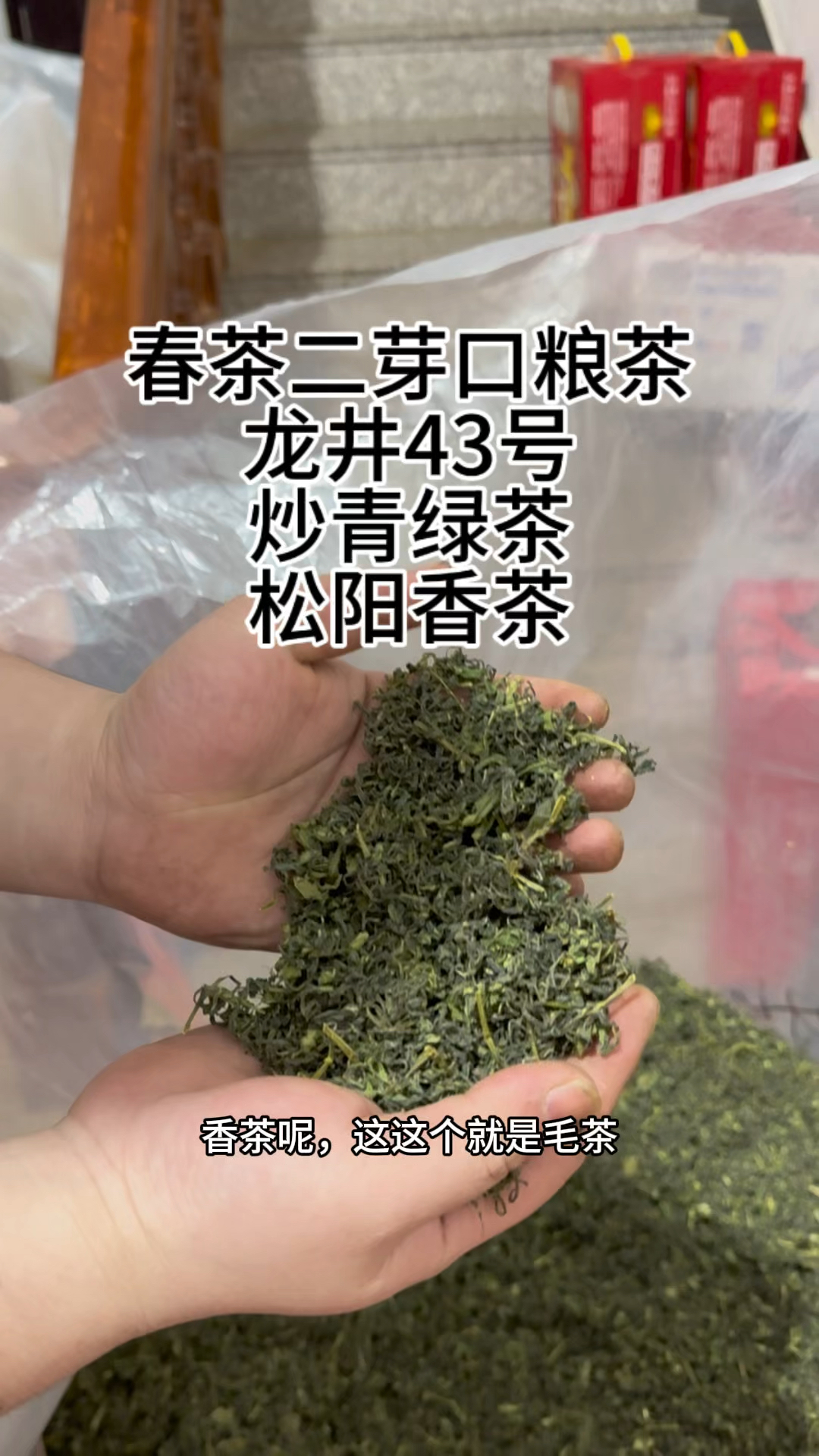春茶二芽龙井43松阳香茶炒青绿茶,老茶客喜欢浓的口粮茶可以一试