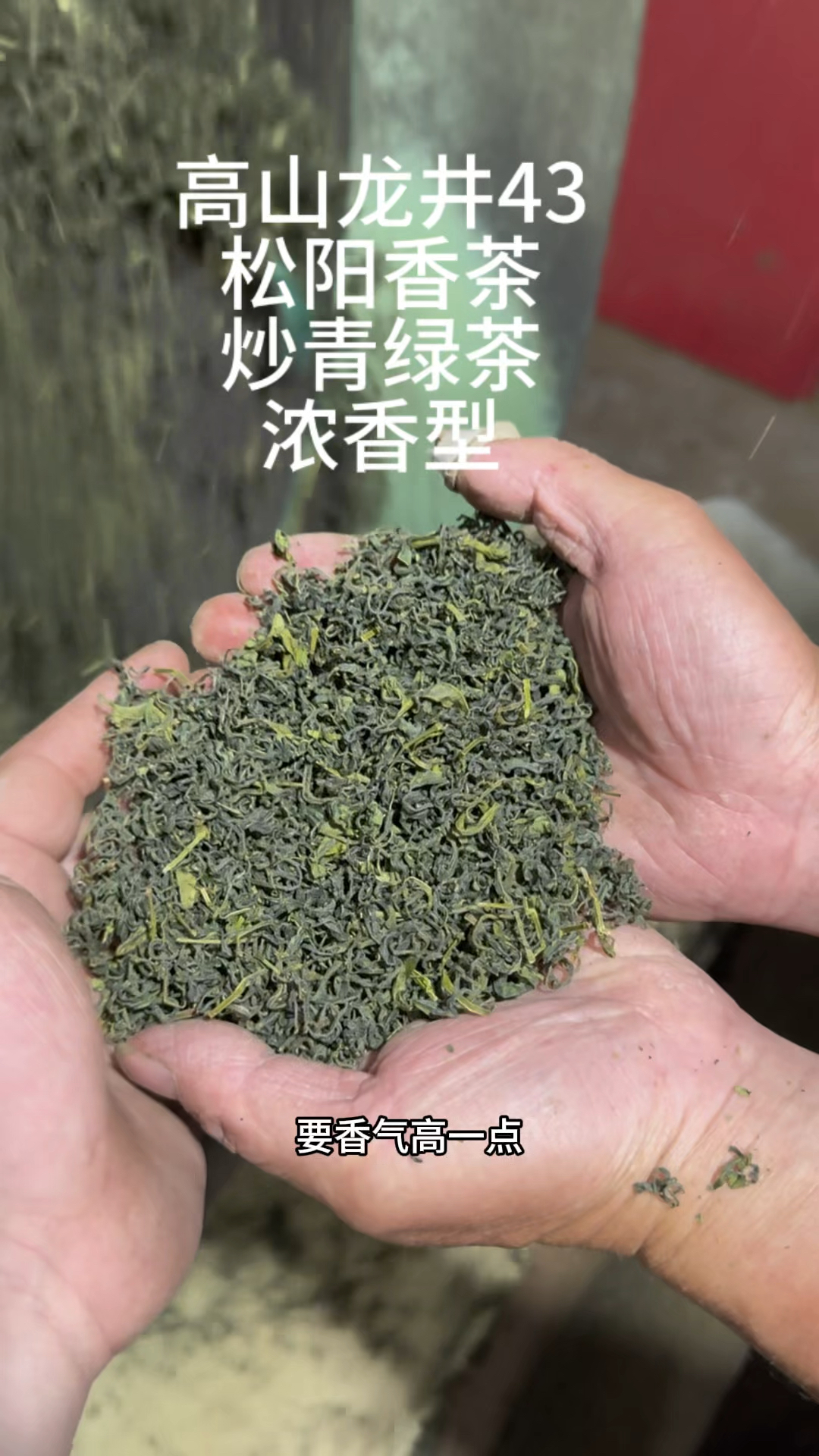 浓香耐泡型口粮炒青绿茶,松阳香茶龙井43号定制,老茶客专属!