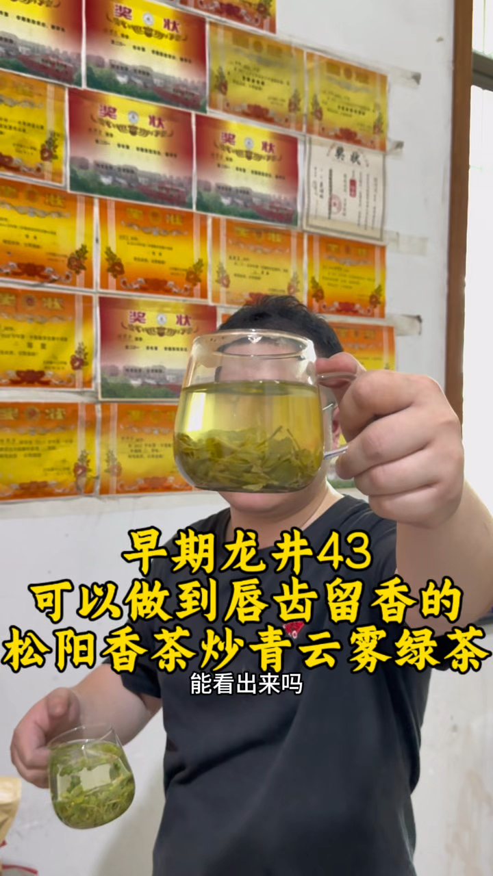 真正能做到喝了齿颊留香的茶叶！龙井43松阳香茶炒青绿茶云雾绿茶