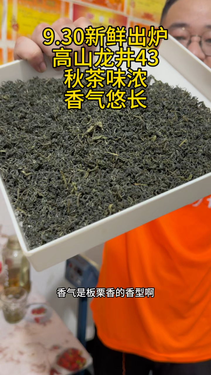 高山龙井43炒青绿茶松阳香茶出炉,秋茶就这点好处,味浓高香!